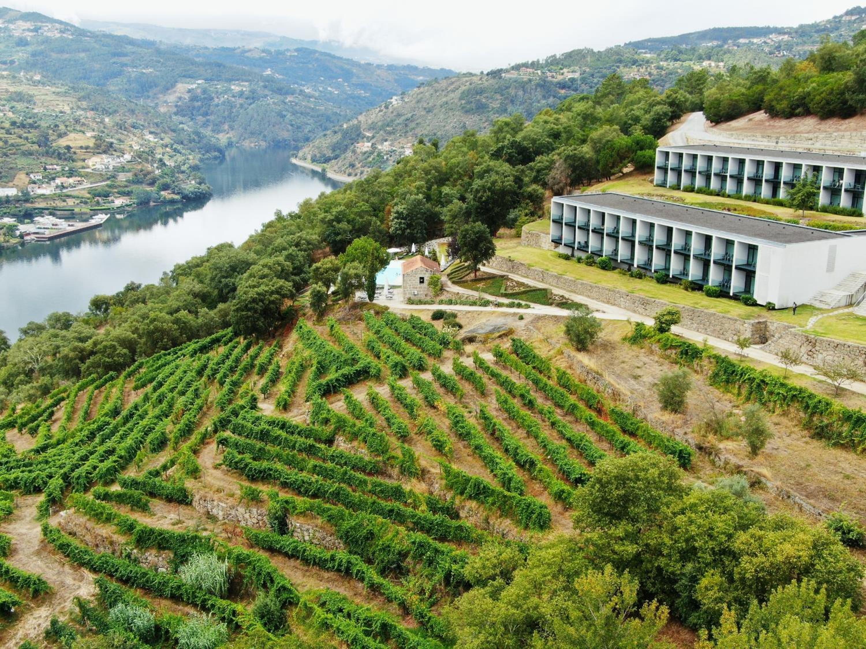 Hotel Douro Palace Hotel Resort & SPA - Image 1
