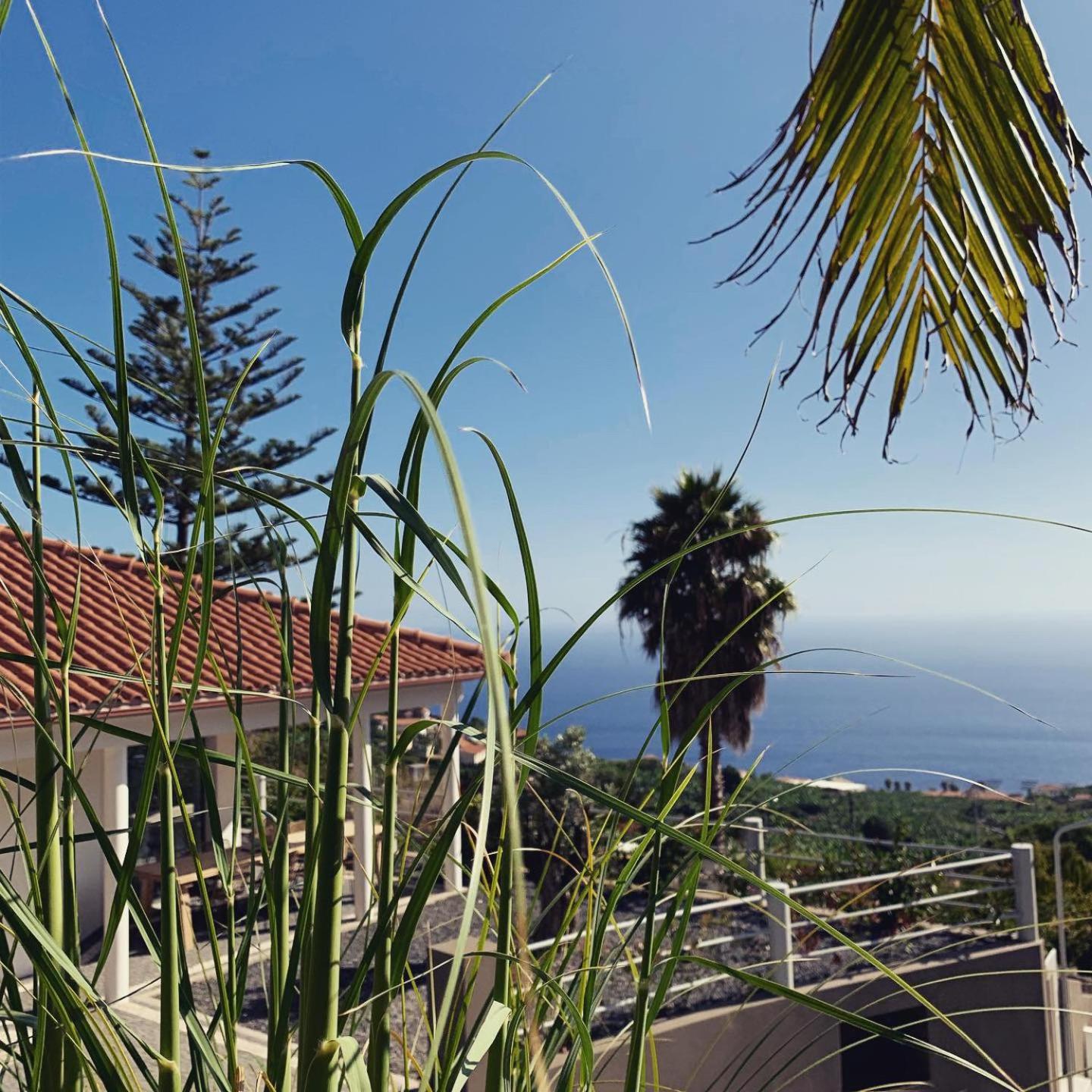 Calheta Boutique Houses view 3