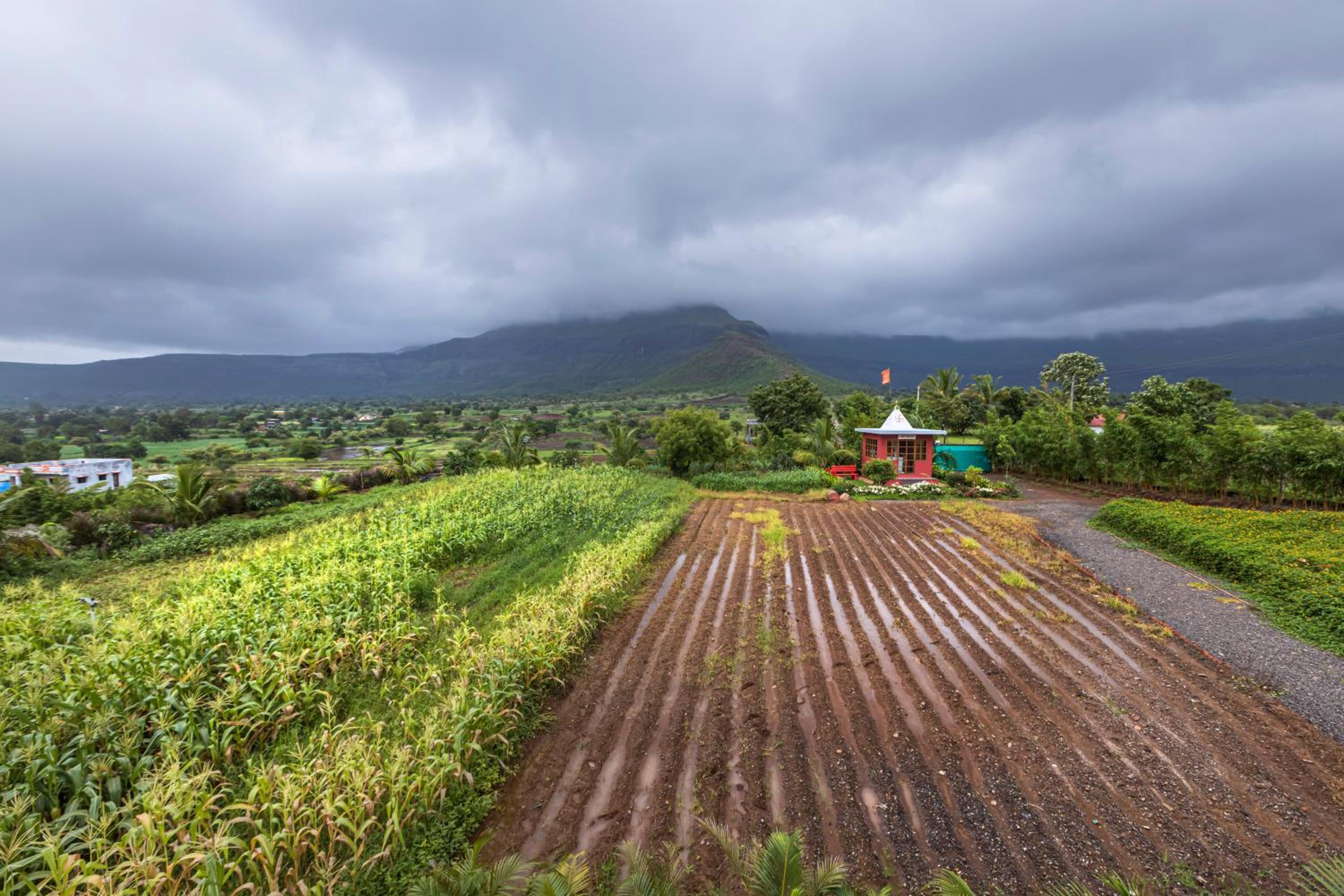 SaffronStays Serenity - 2BR villa overlooking Lake Kadwa with garden, swings & treks near Sula Vineyard view 4
