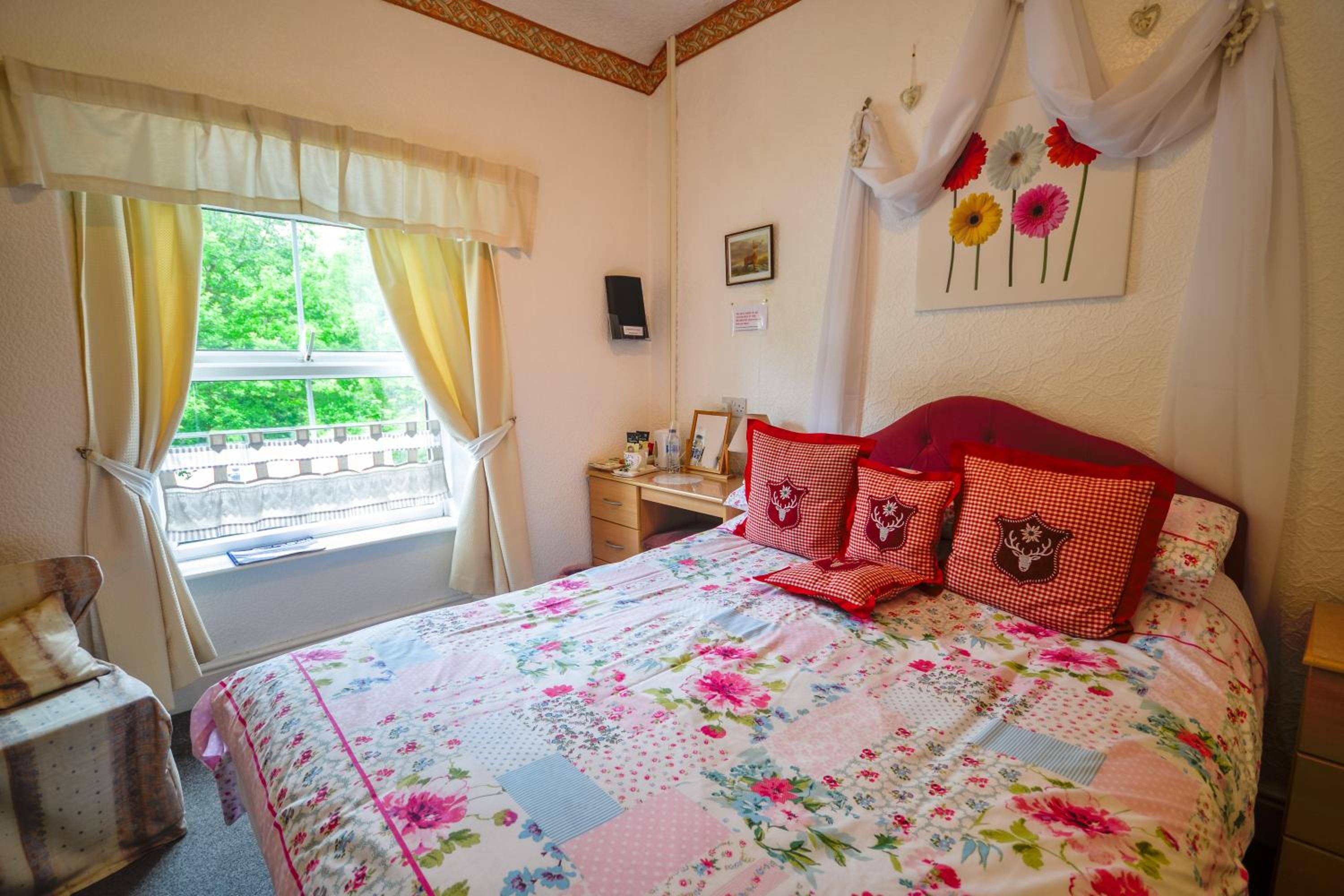 Gorphwysfa House B & B view 3