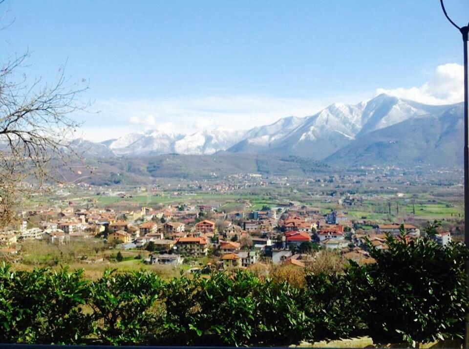 Photo 20