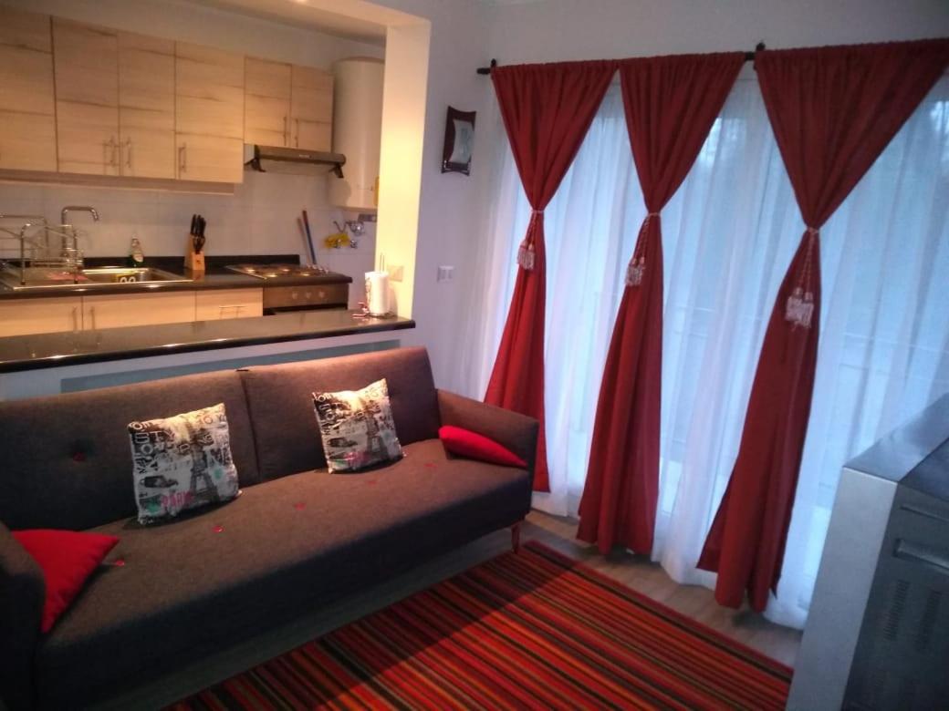 Condominio Pucon Andino