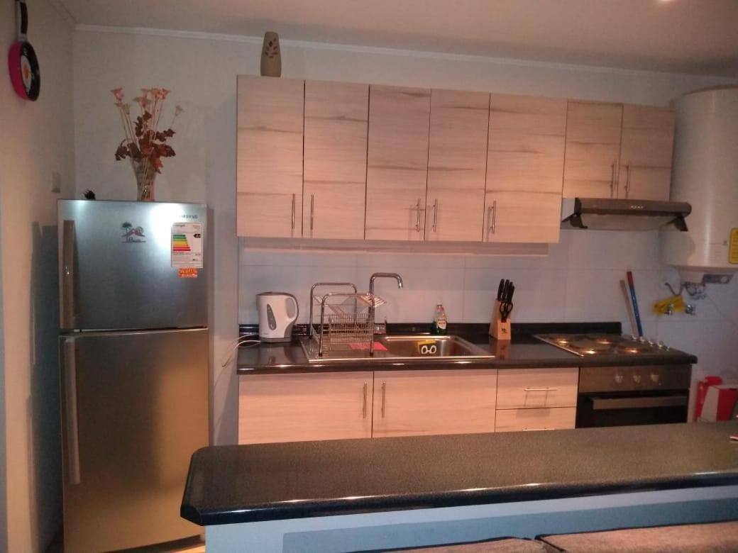 Condominio Pucon Andino