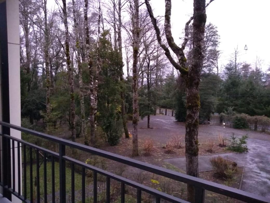Condominio Pucon Andino