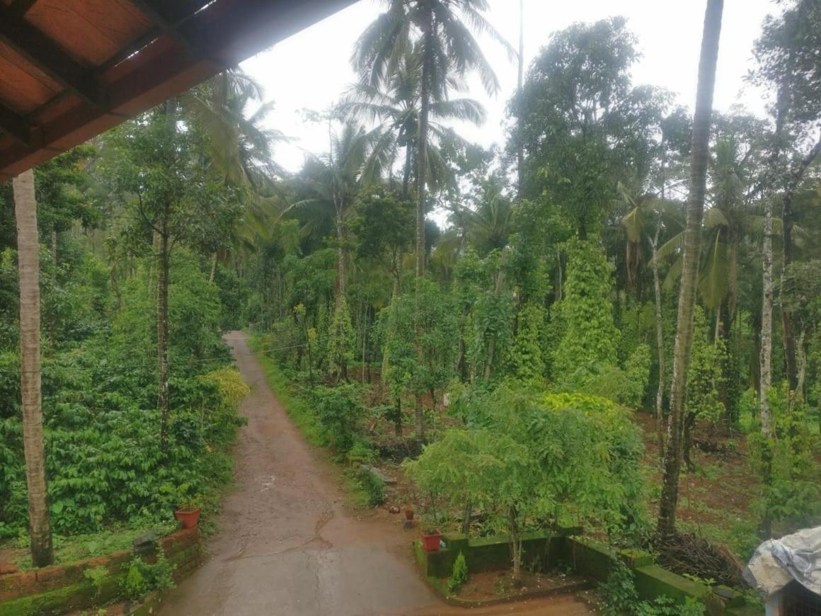 Leela Stay view 4