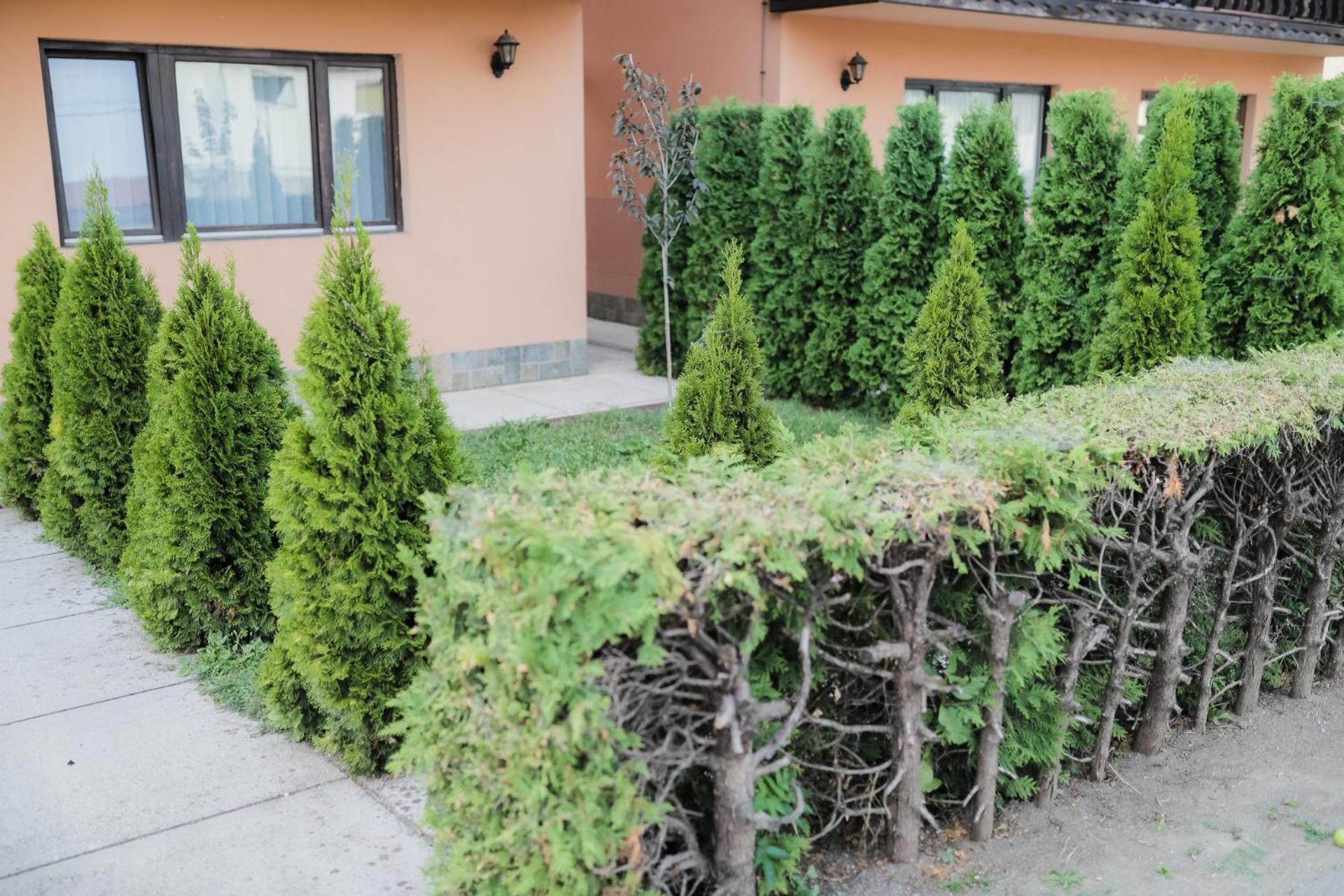 Guesthouse Tanja