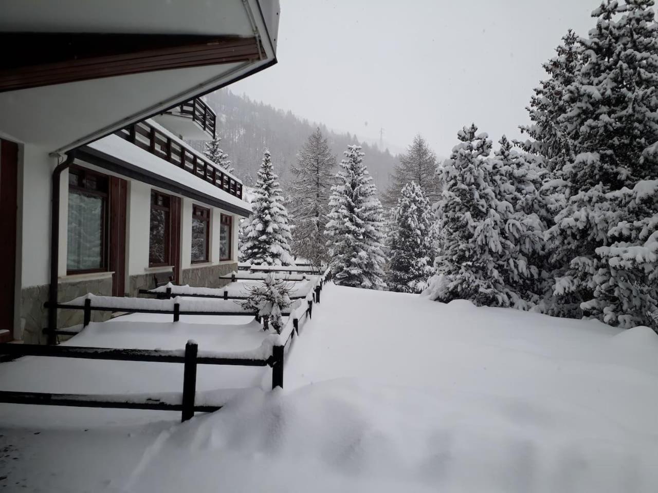 Appartamento Pragelato centro con giardino privato view 4