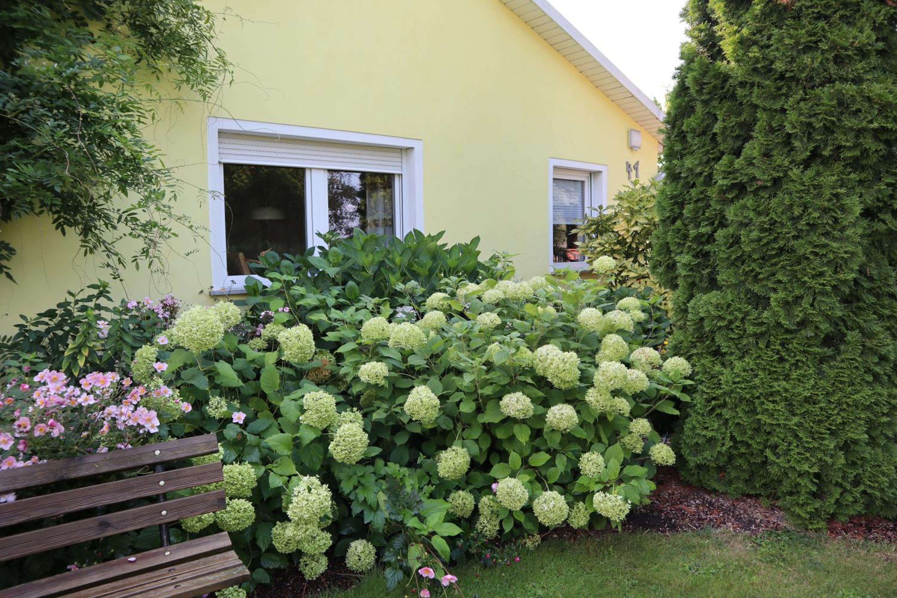 Photo 37