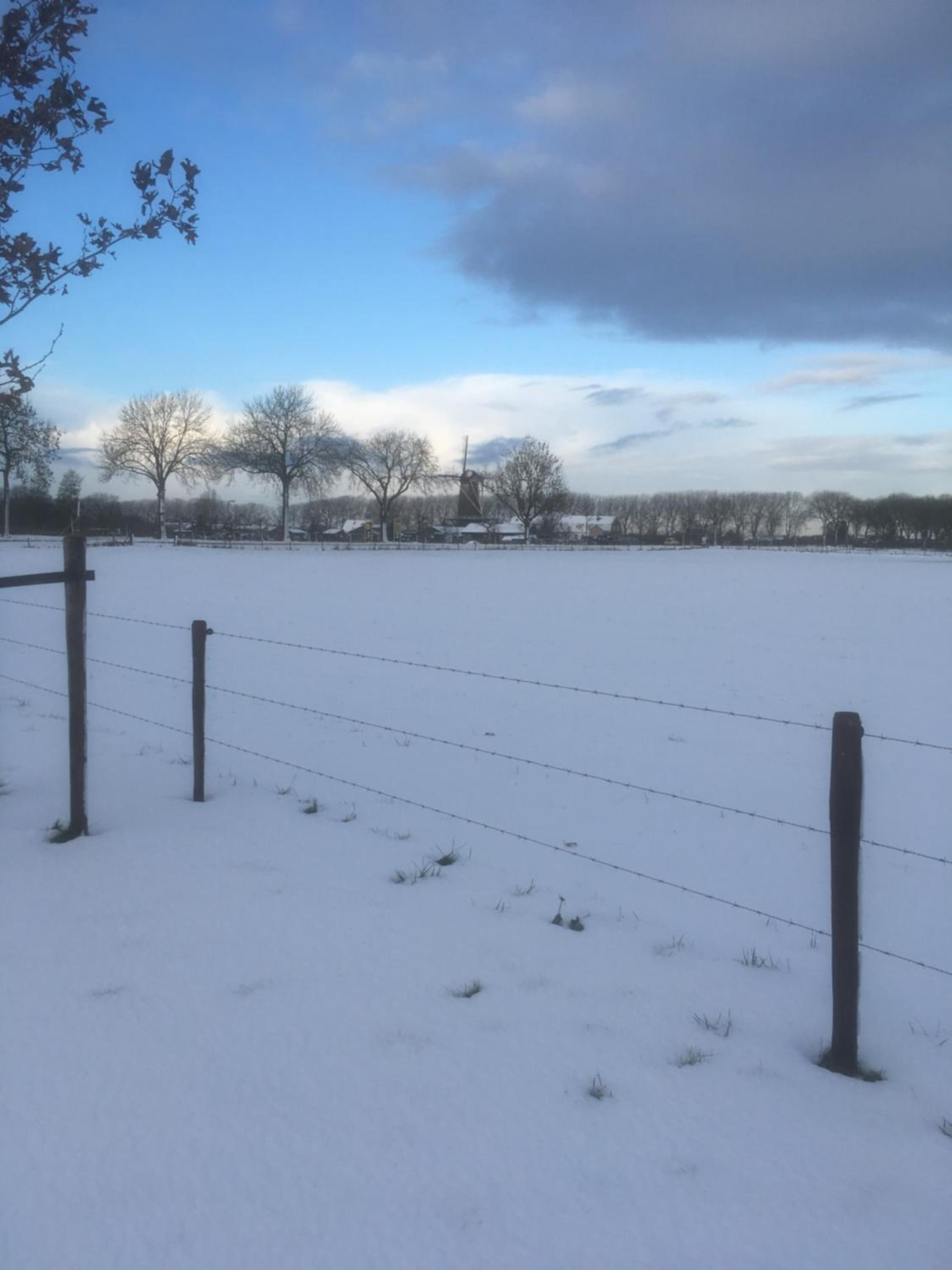 het Pelikaantje view 5