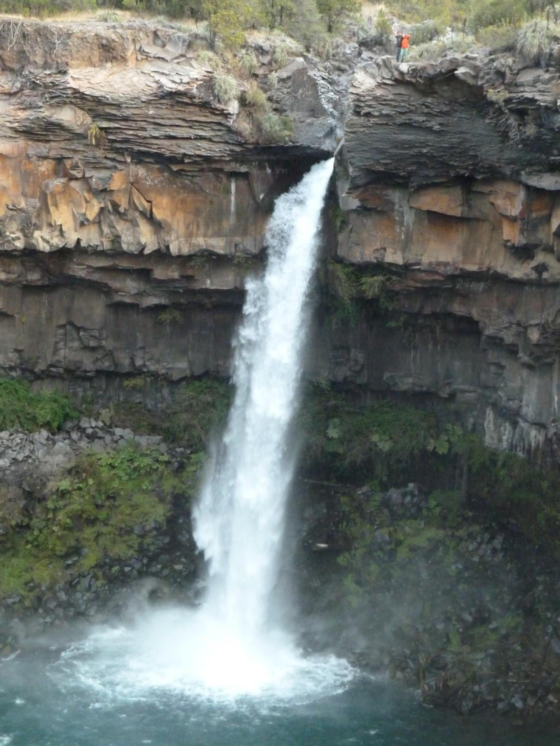 Photo 46