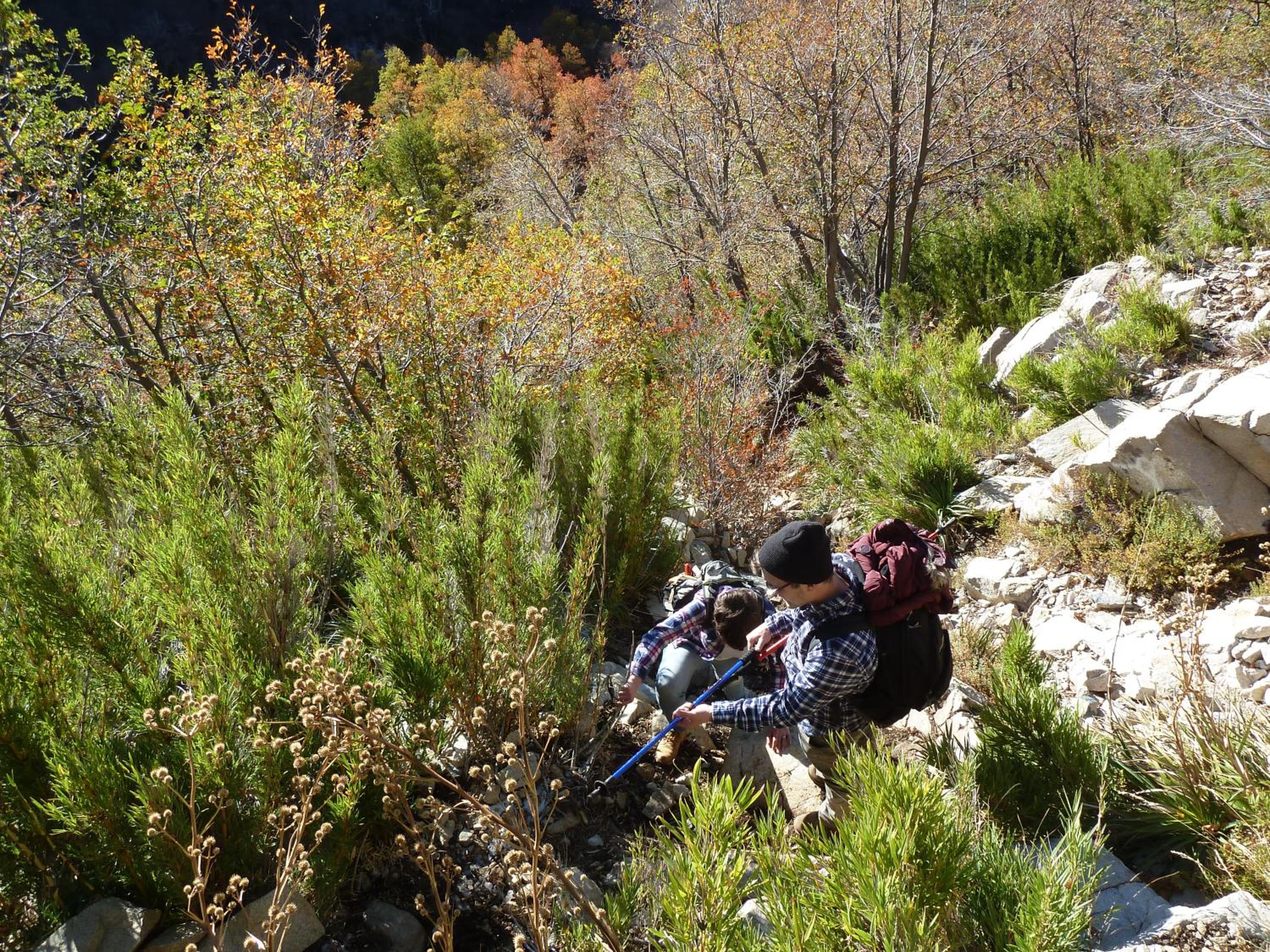 Photo 40