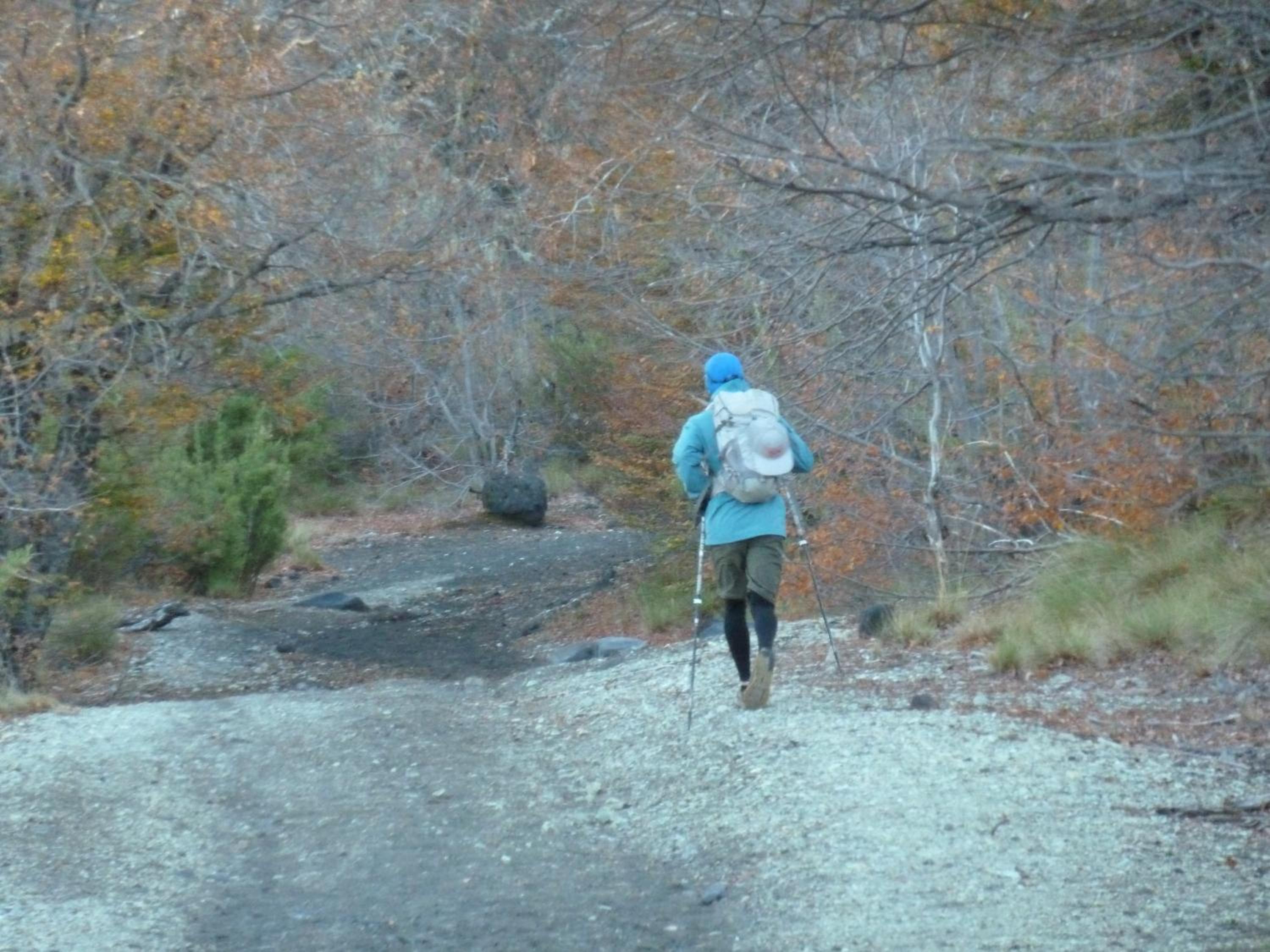 Photo 41