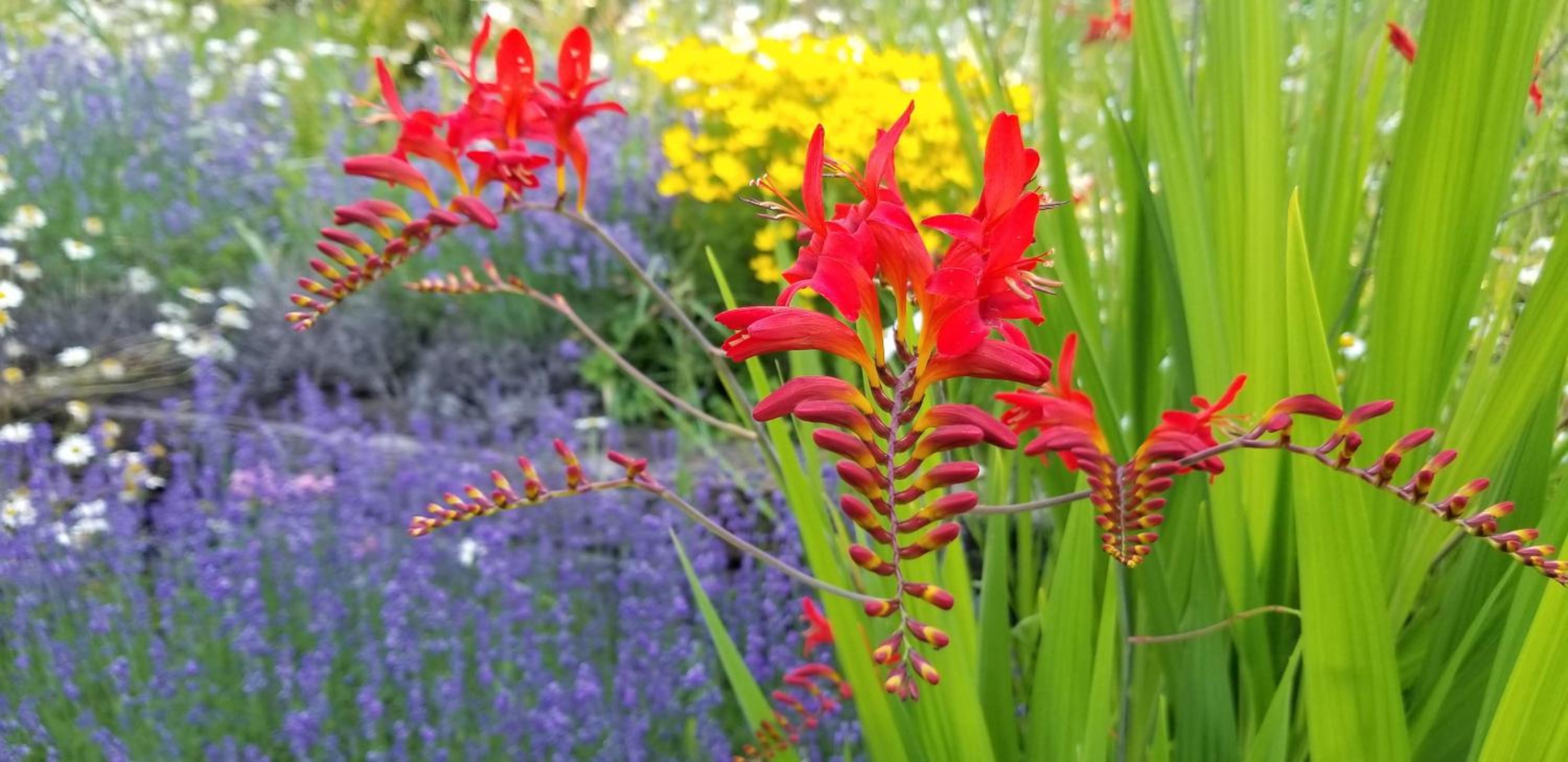 Vernon Vacations - Silver Star Bed and Breakfast - Property Image 10