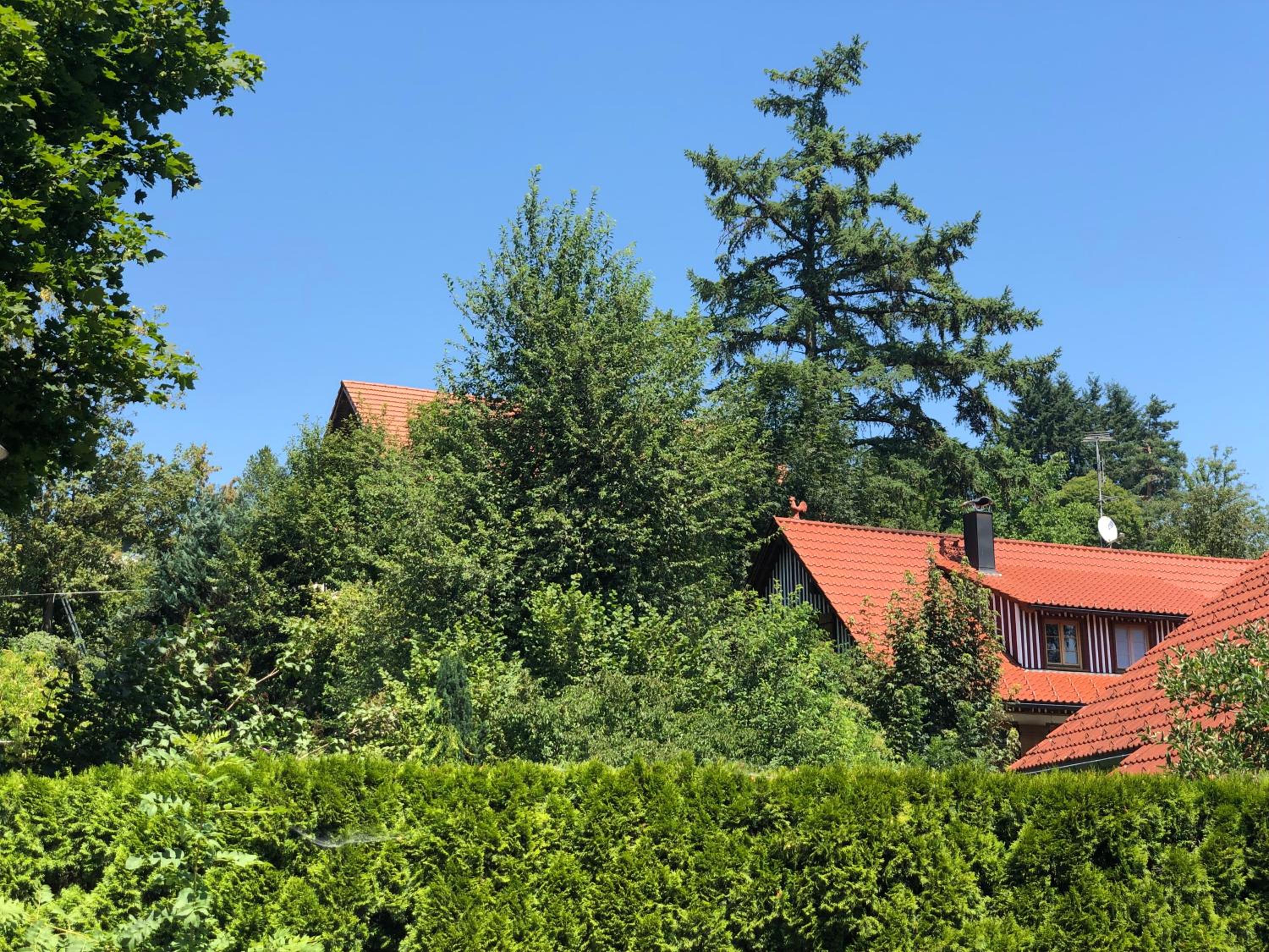 Pia's Nature Retreat