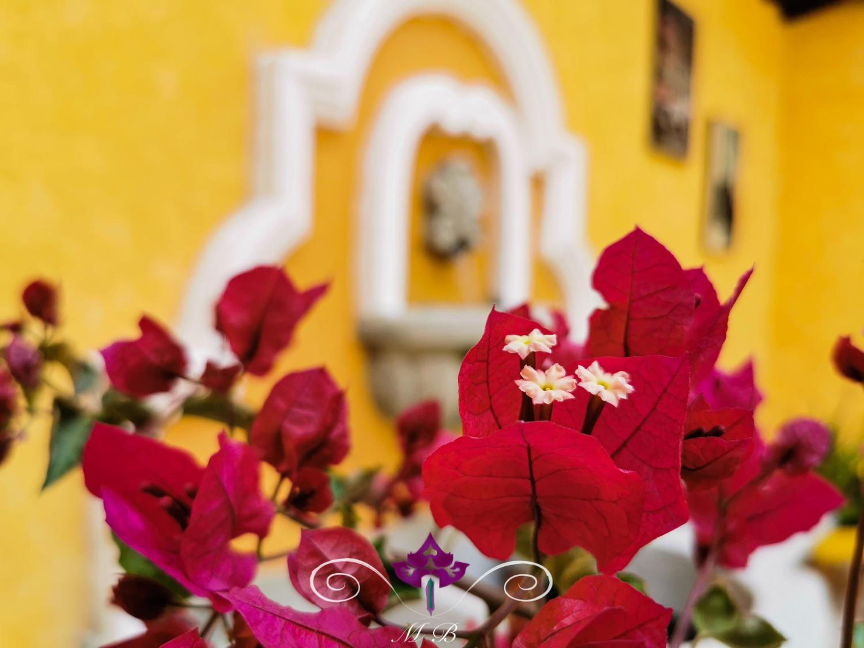 Maison Bougainvillea