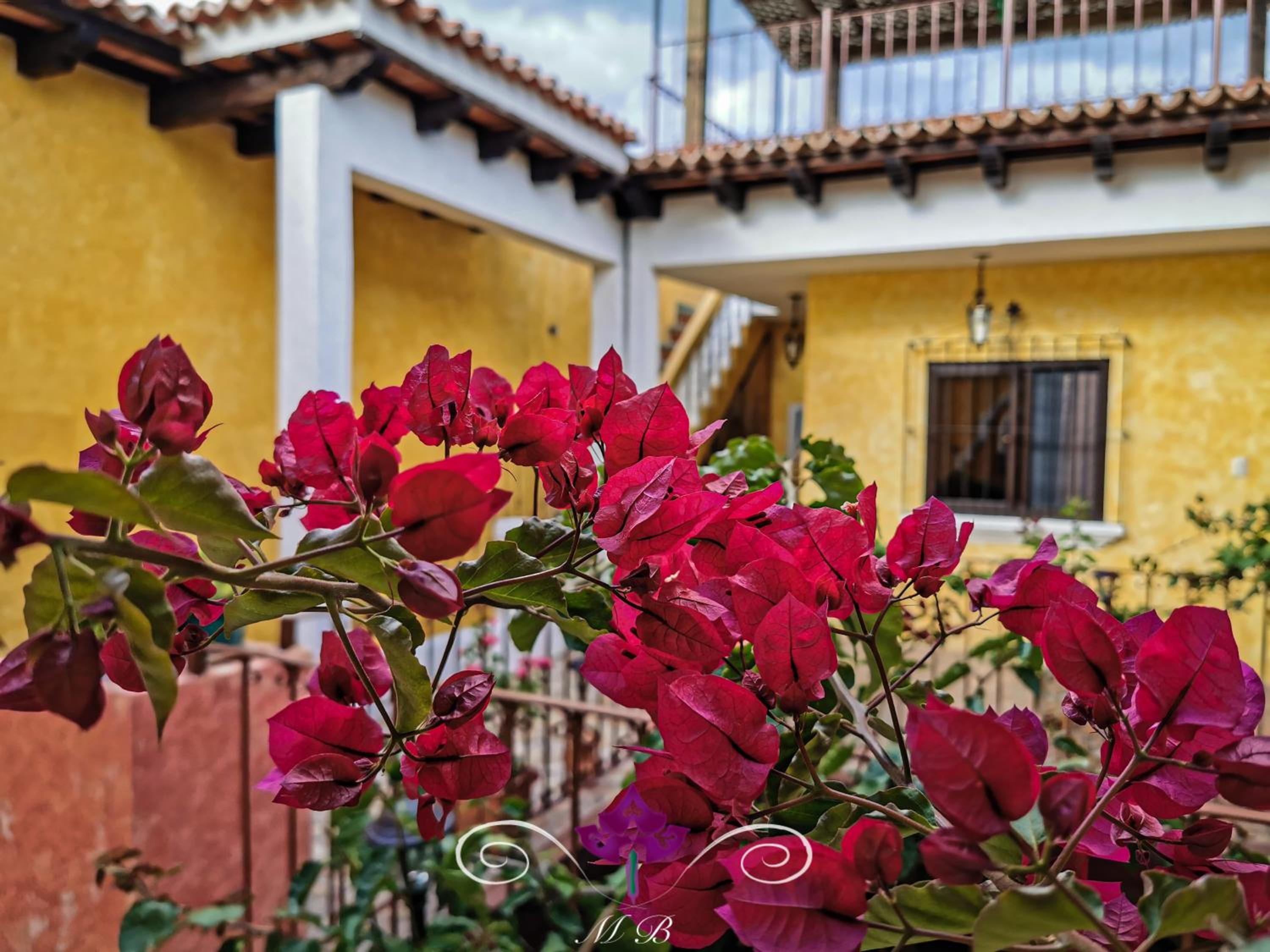 Maison Bougainvillea