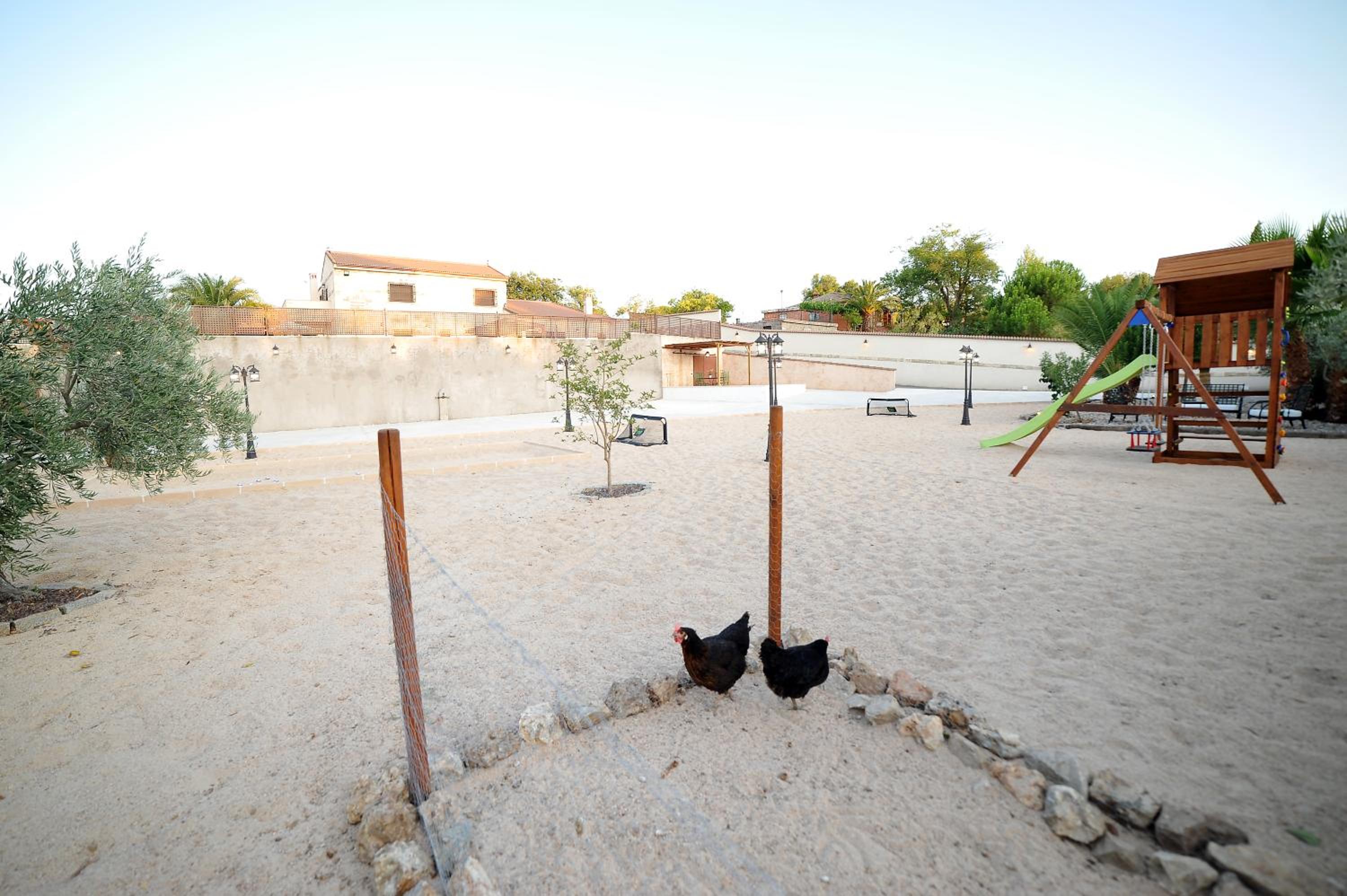 activities & amenities