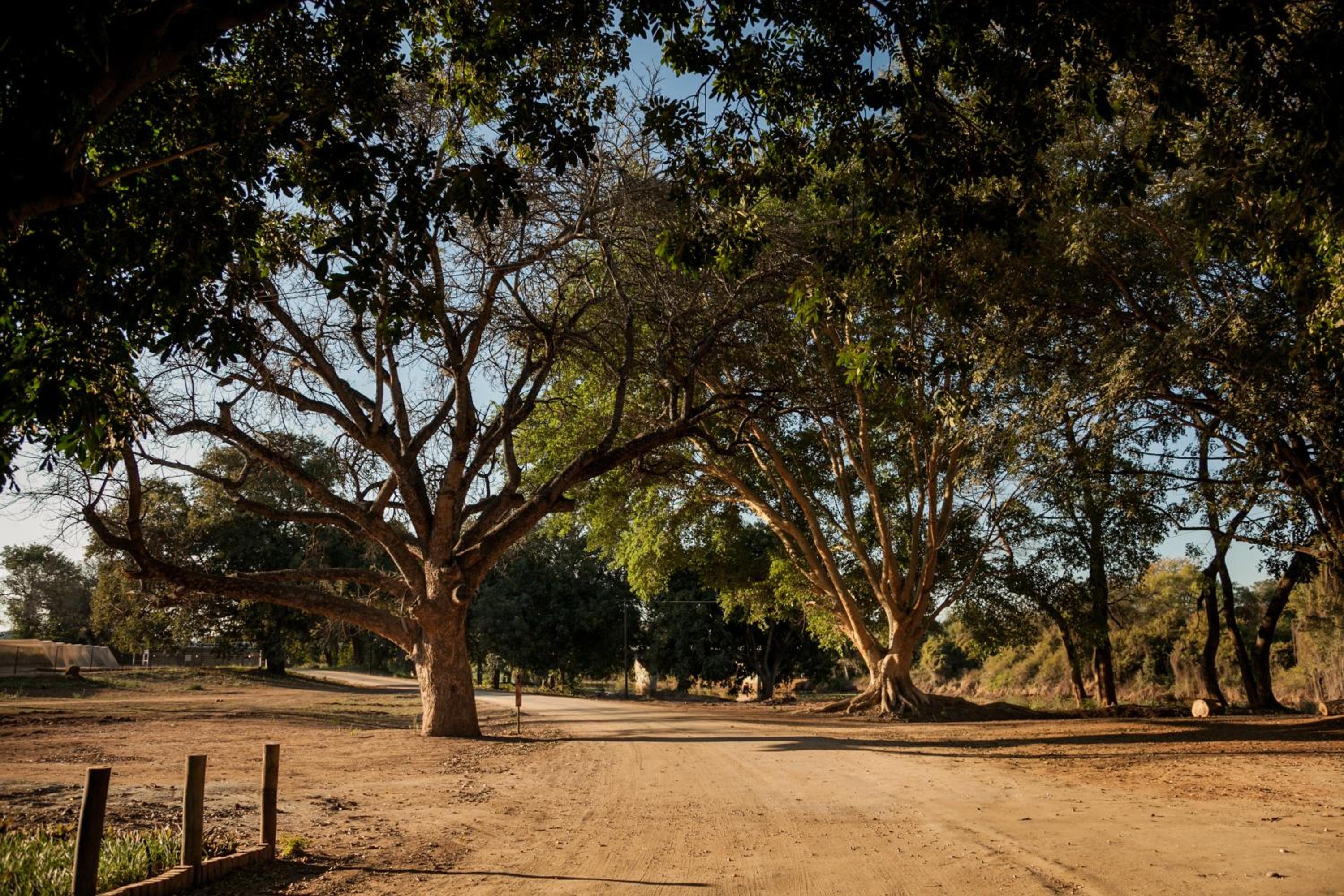 Letaba Junction Lodge