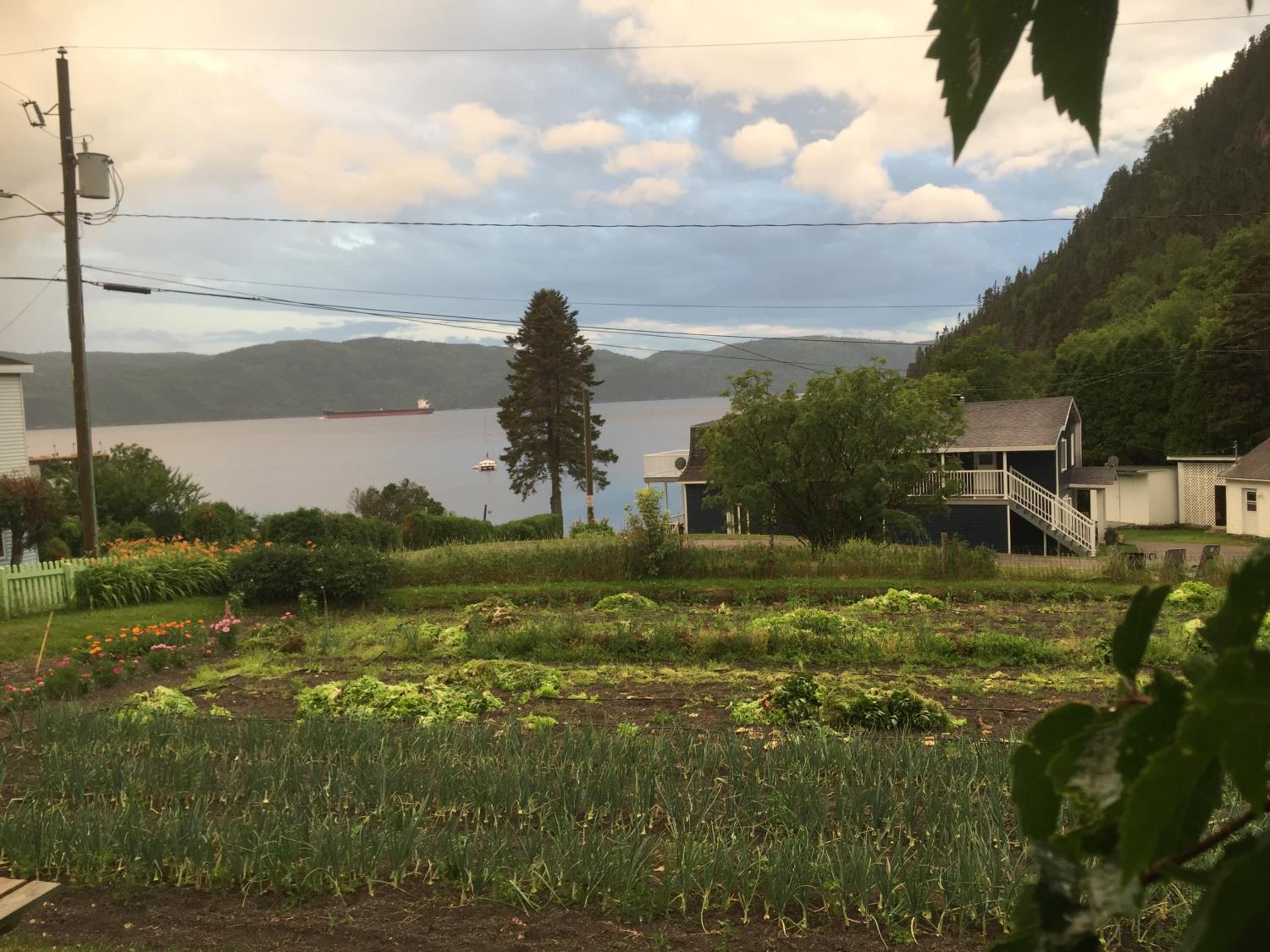 Ferme Jardin Potager