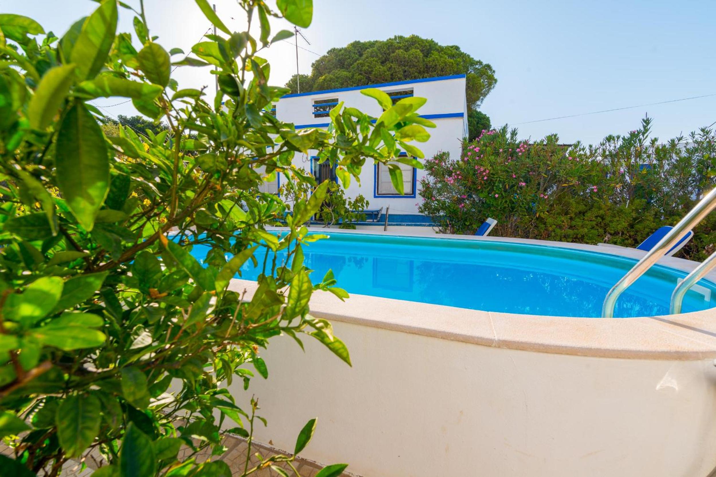 Casas Típicas Algarvias view 5