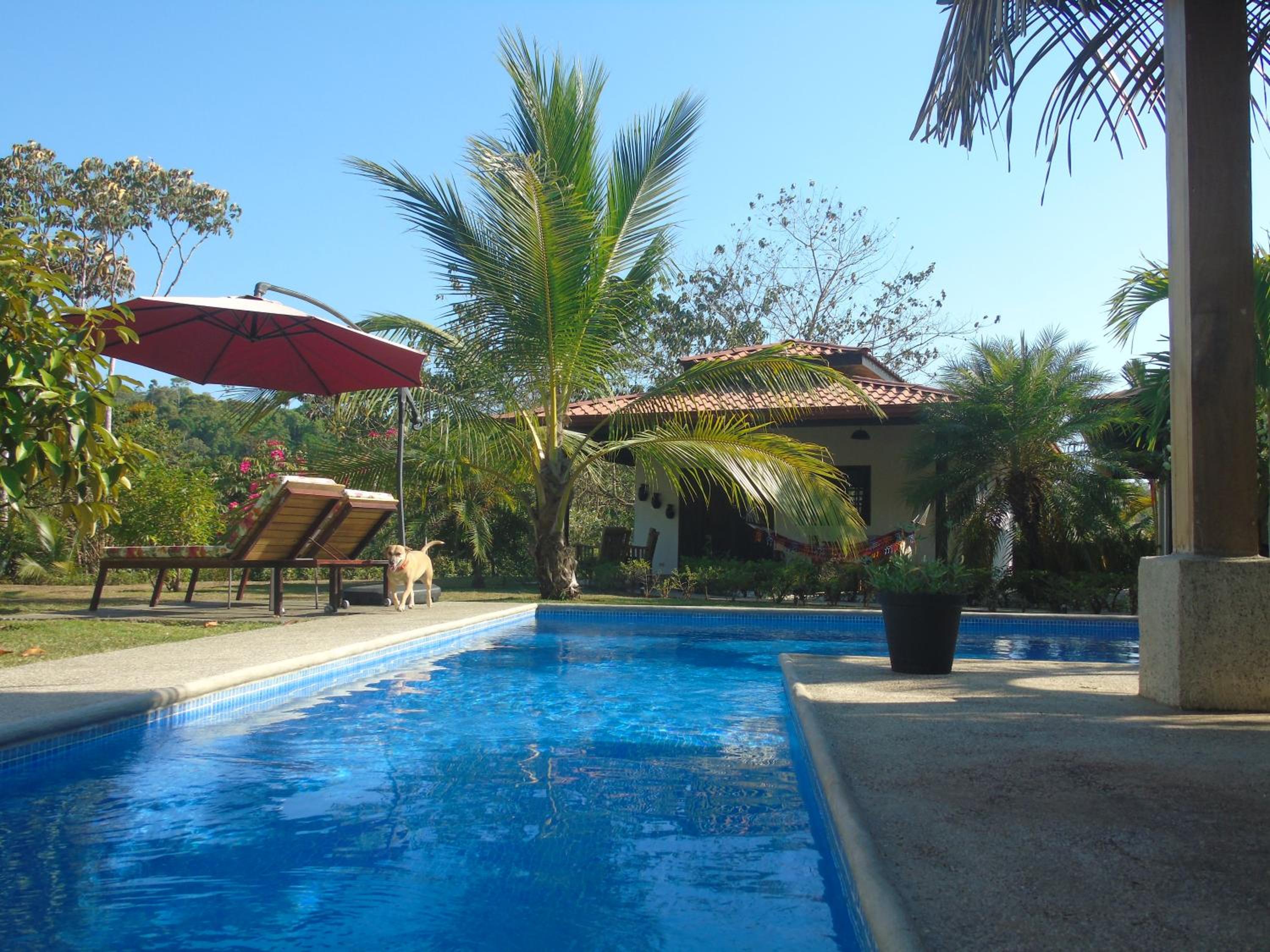 Casas Buenas Brisas
