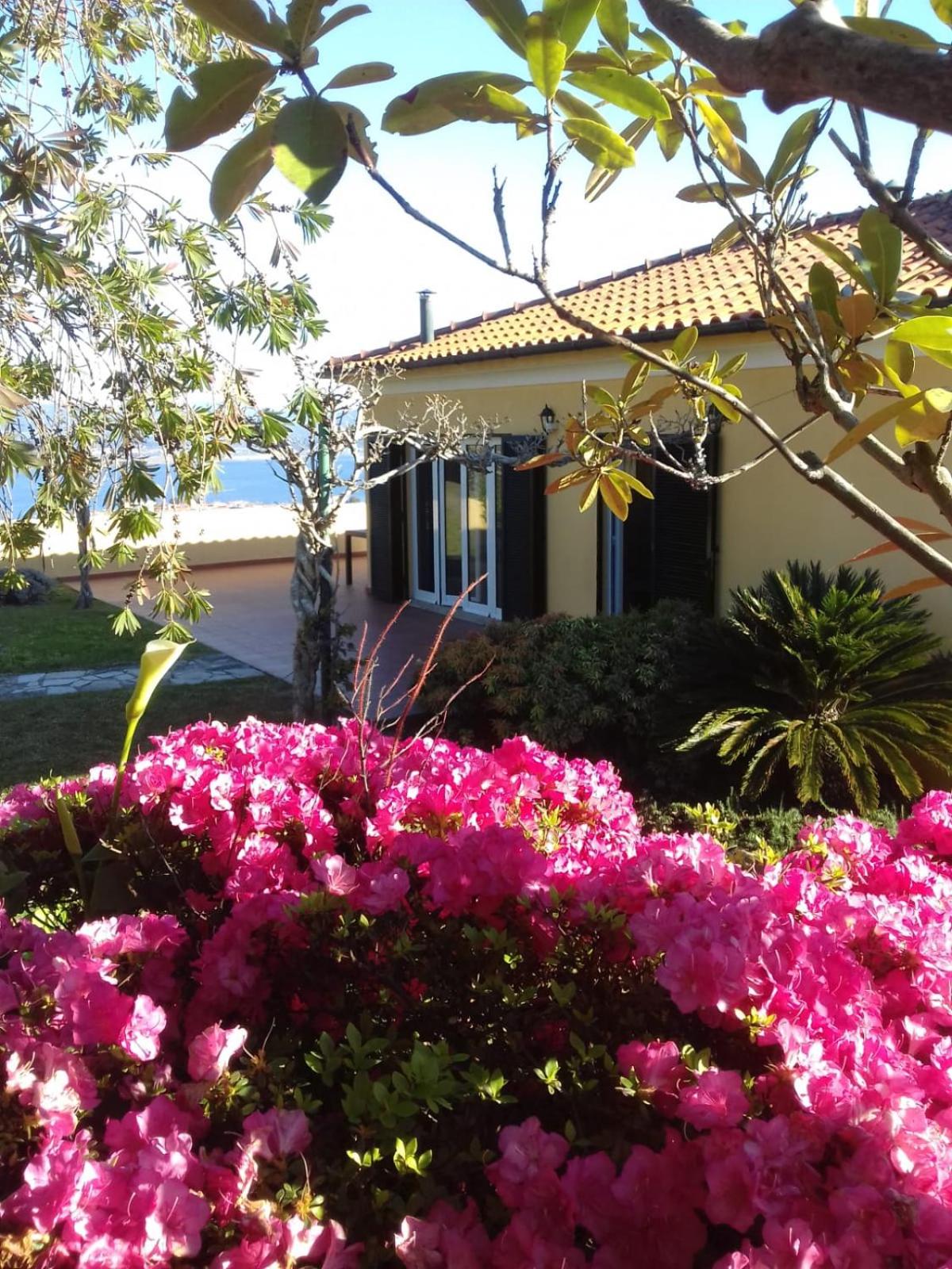 Castanheiro Cottage Relaxing Nature view 4