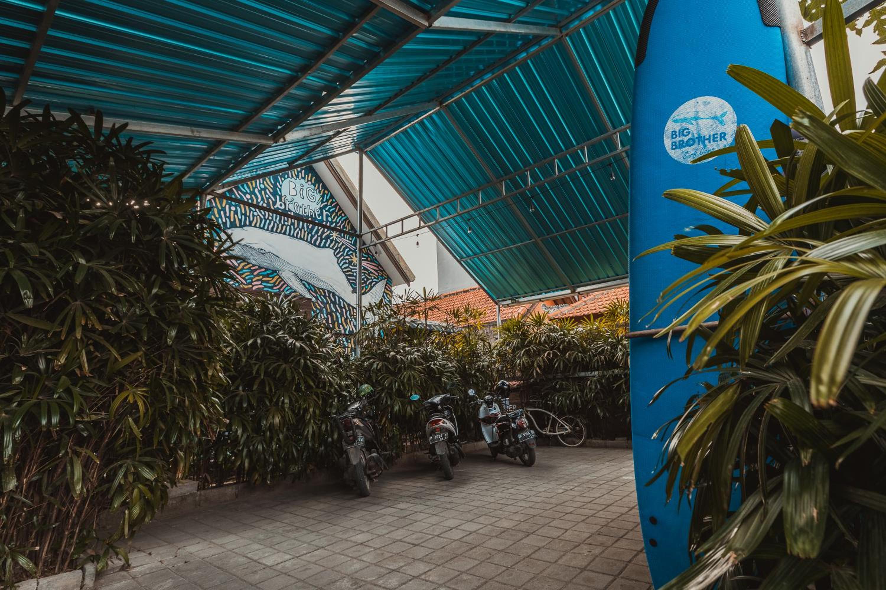 Big Brother Surf Inn