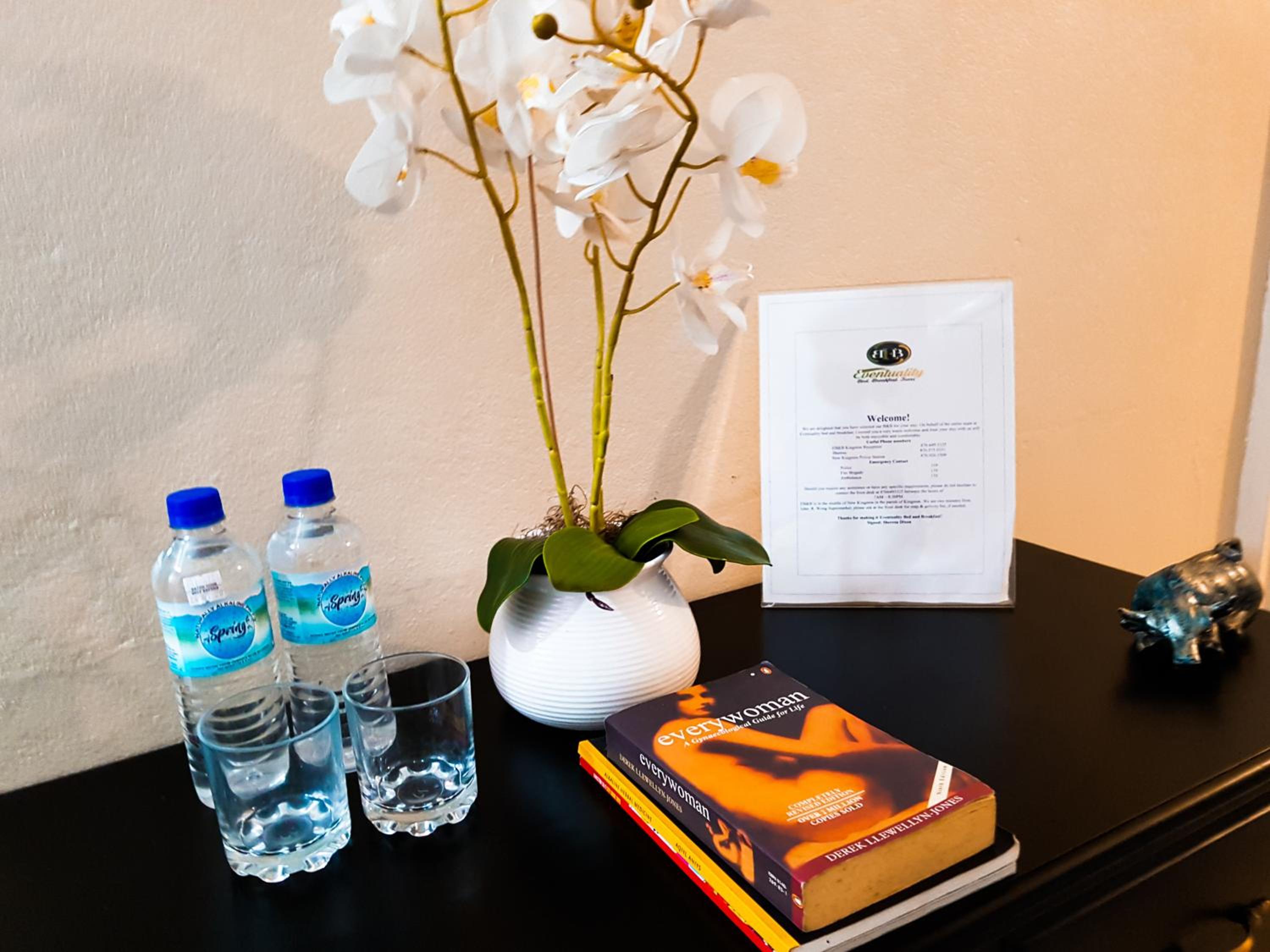 Eventuality B&B New Kingston view 5