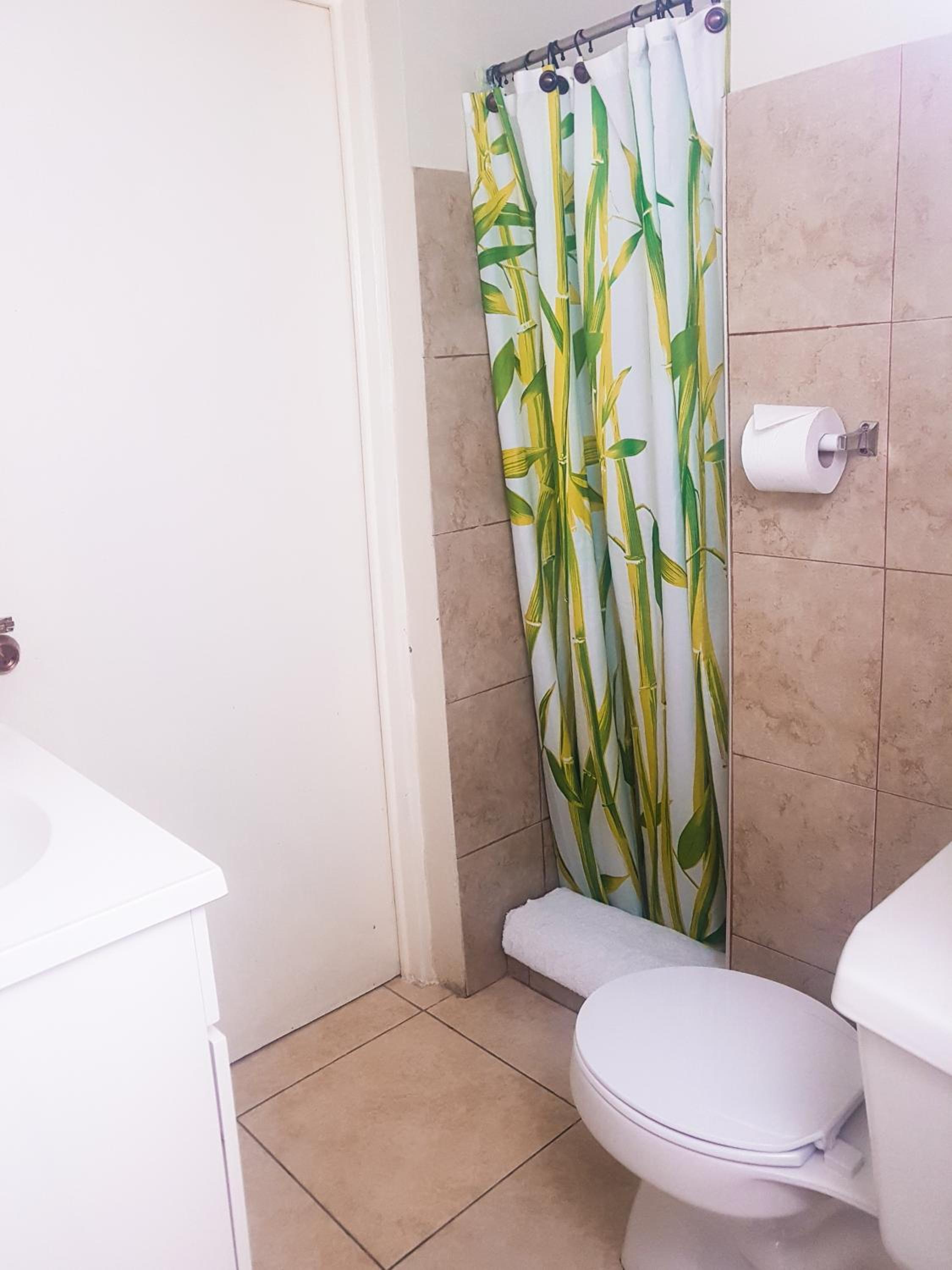 Eventuality B&B New Kingston view 2