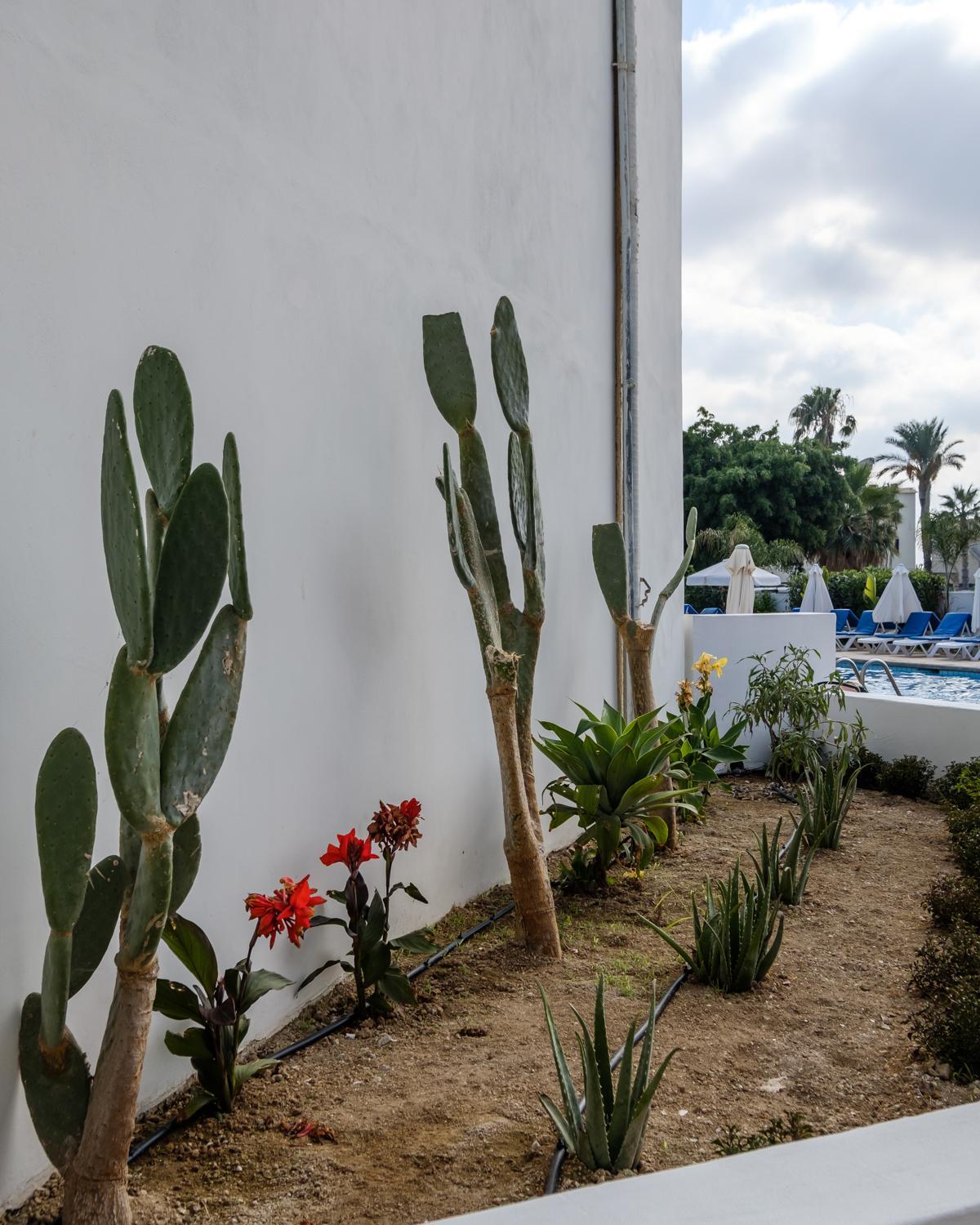 Pandream Hotel Apartments