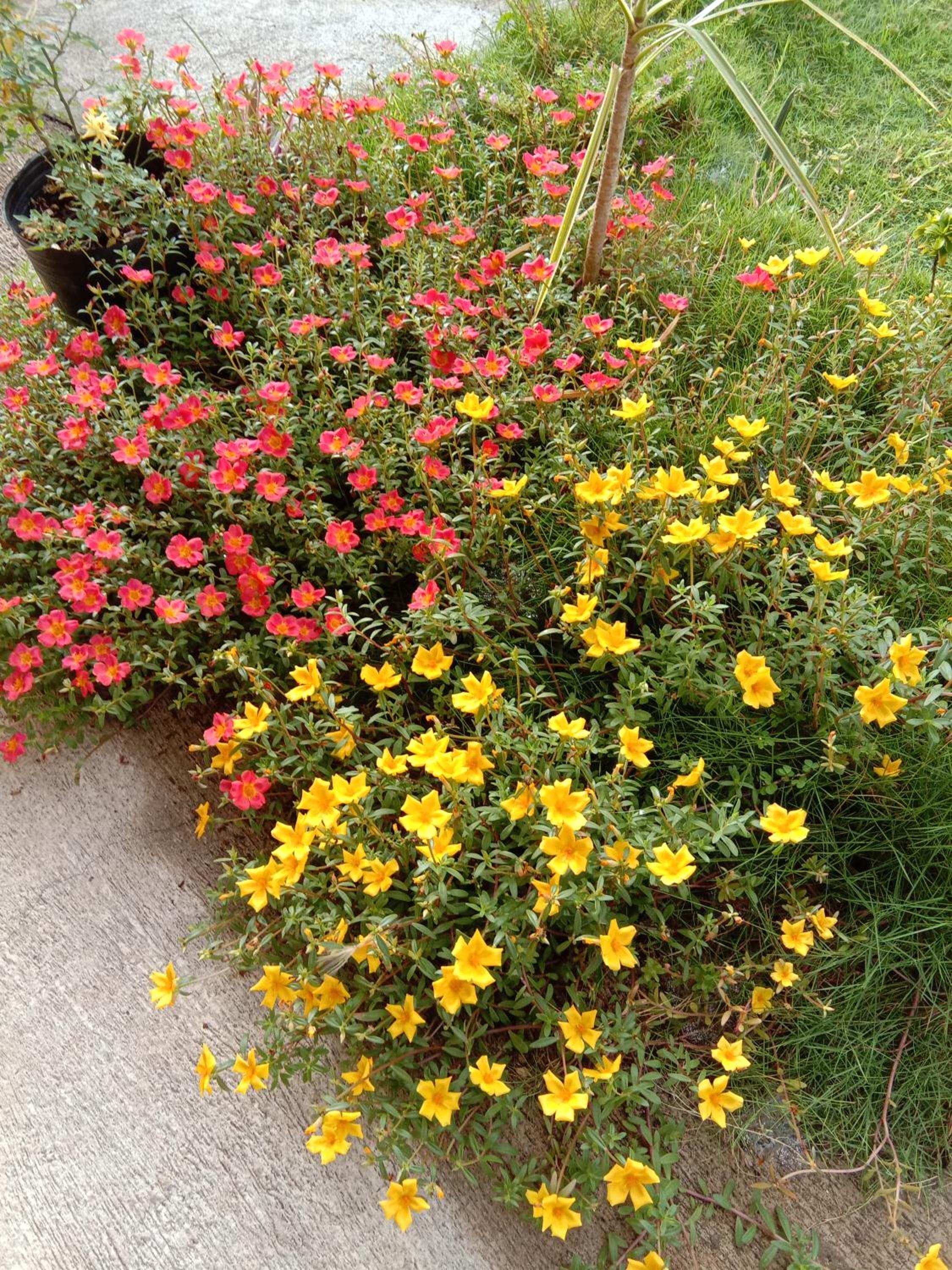 Photo 32