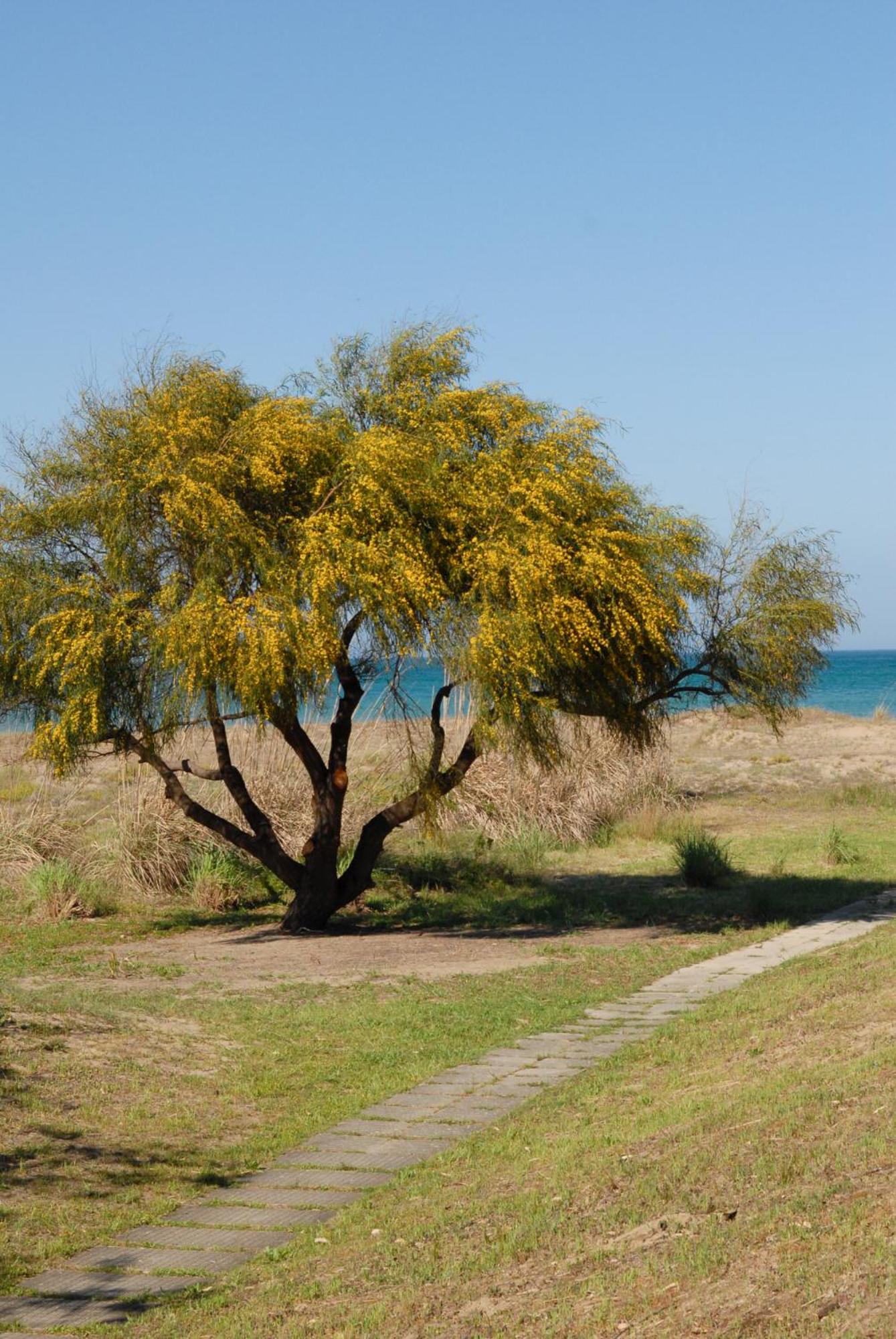 Finbaja Resort view 5