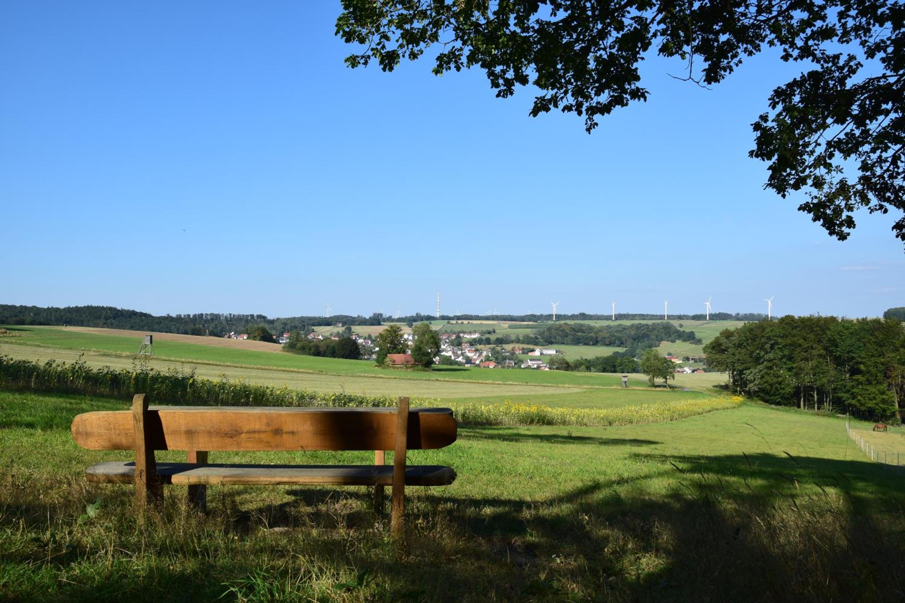 Moderne und sehr gemütliche Ferienwohnung view 2