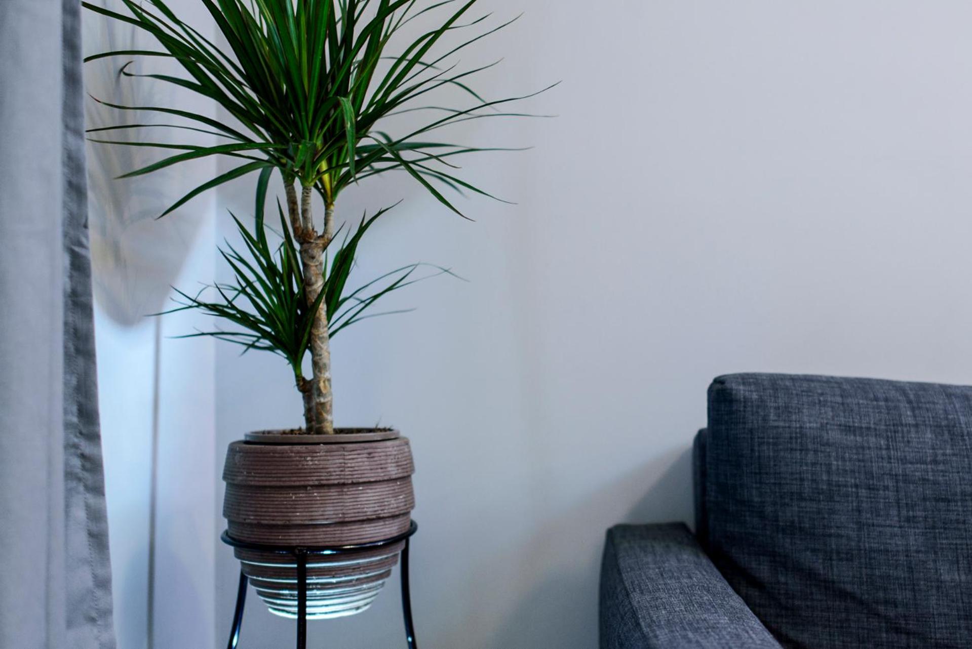 M&D Luxury Suites in central Athens