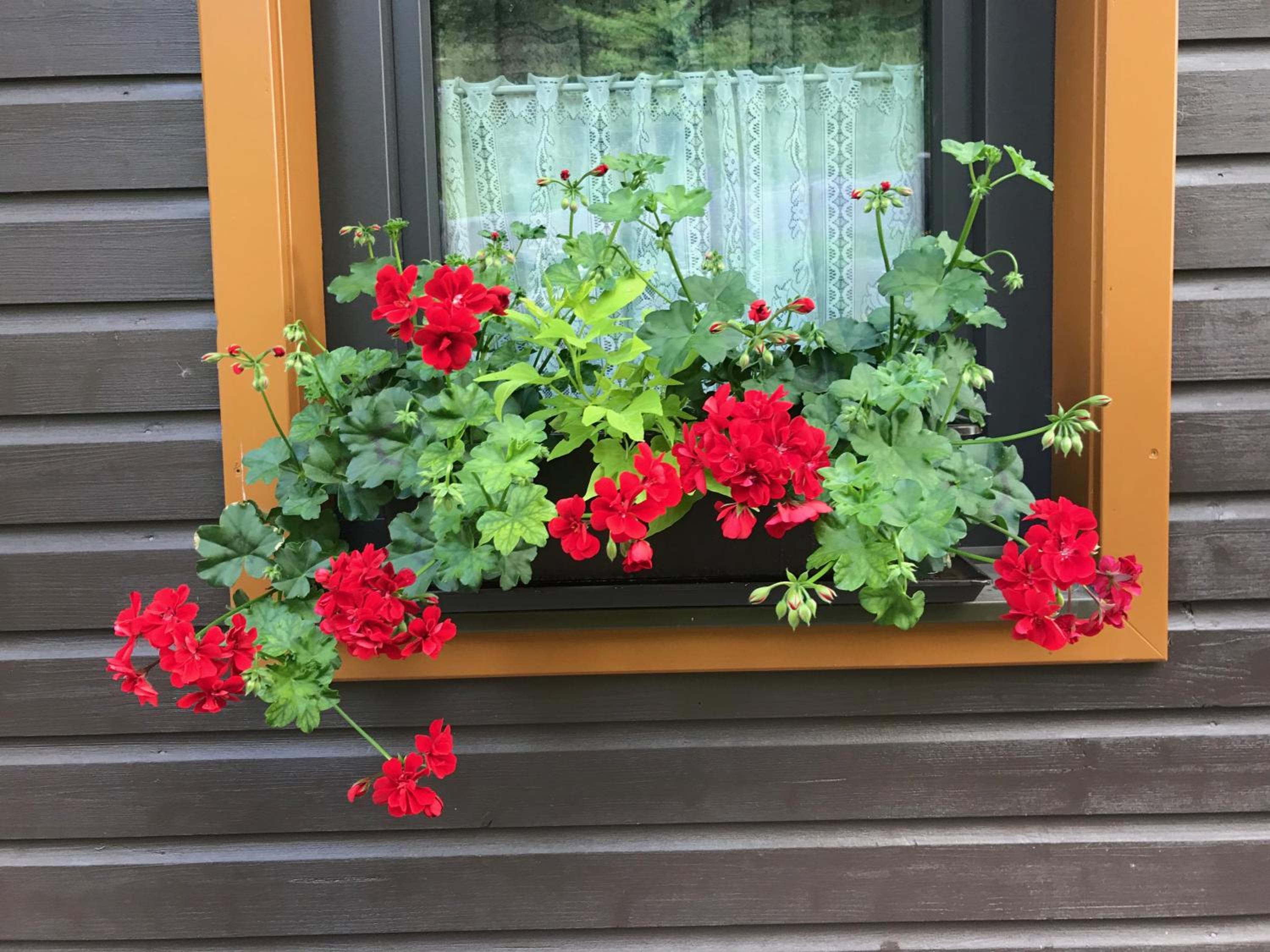 Ferienhaus Bergfee