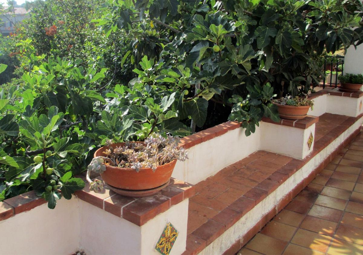 Casa Vacanza nell'Orto photo 3