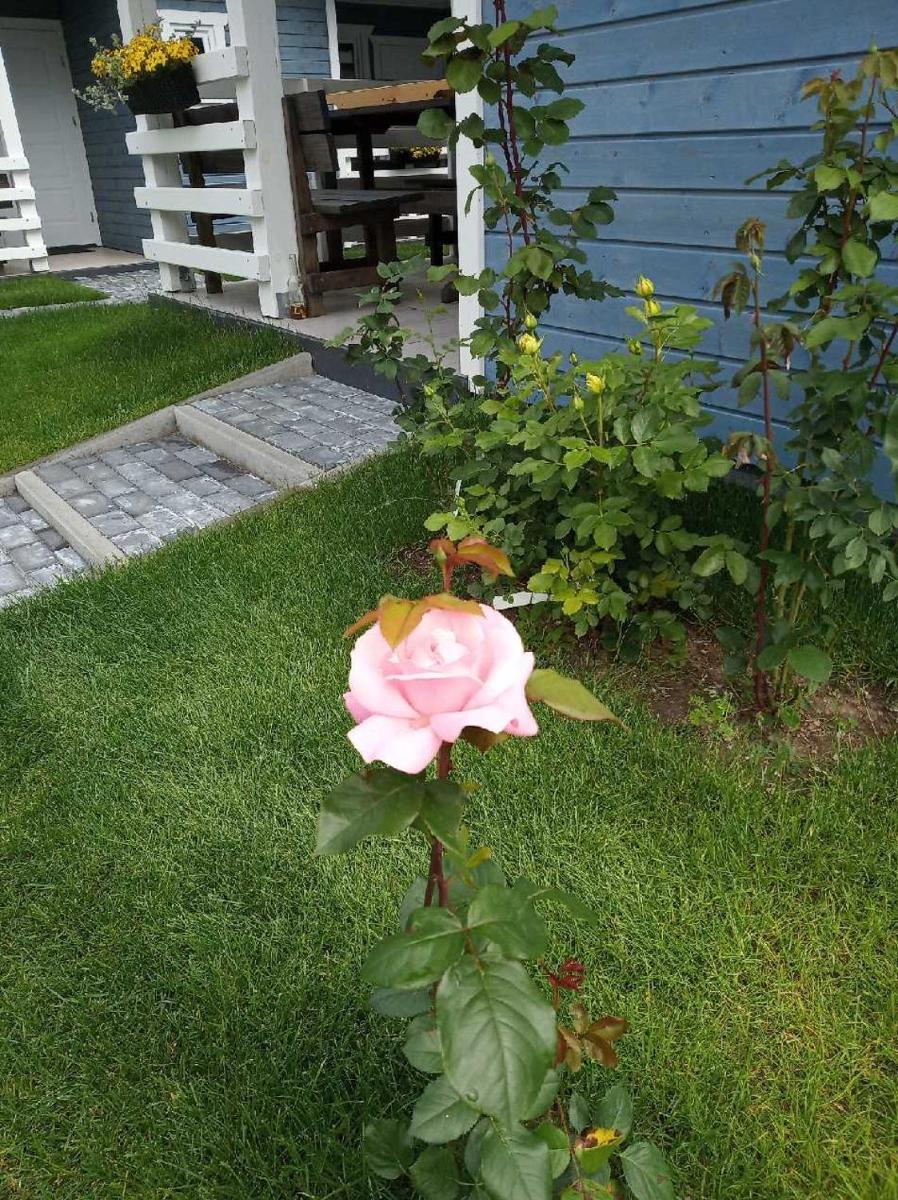 Photo 27