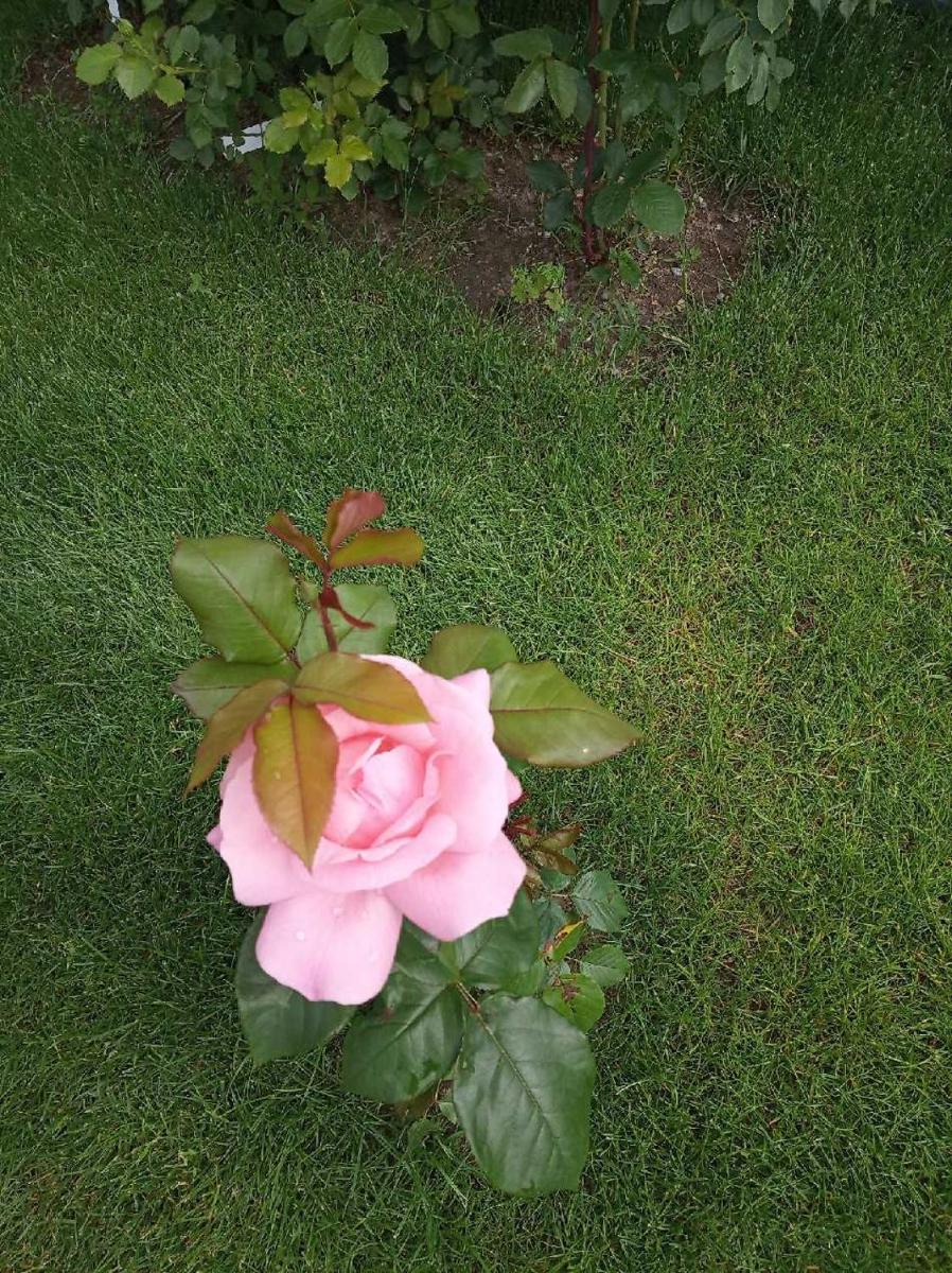 Photo 26