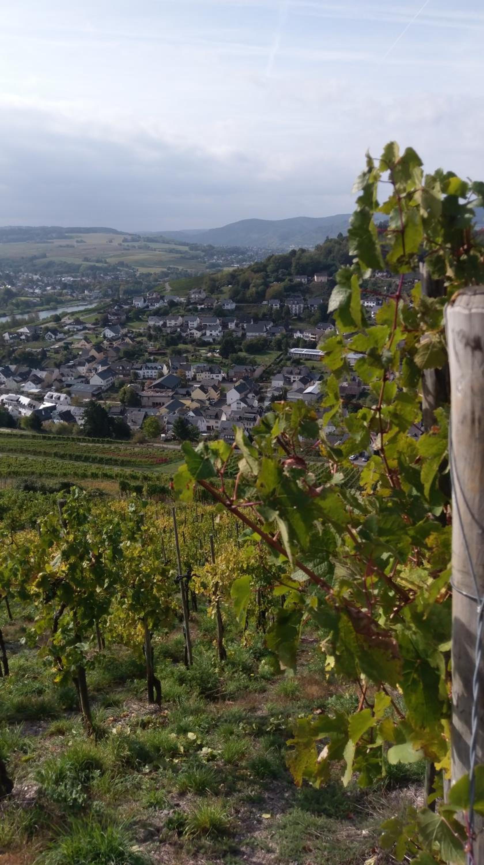 Schlössje
