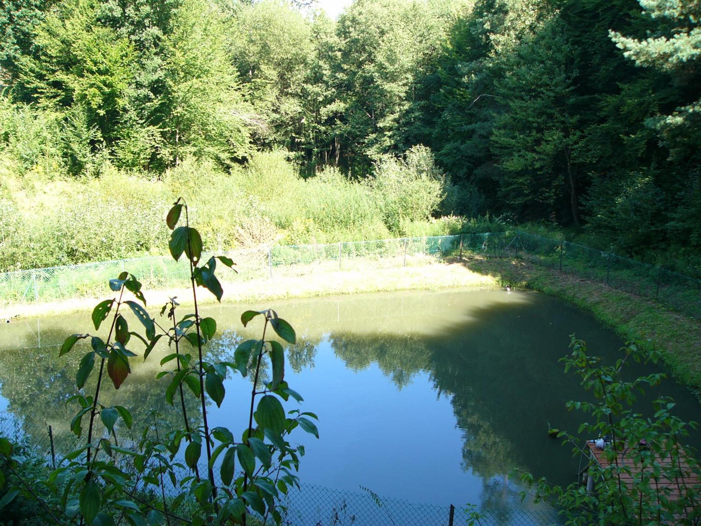 Photo 44
