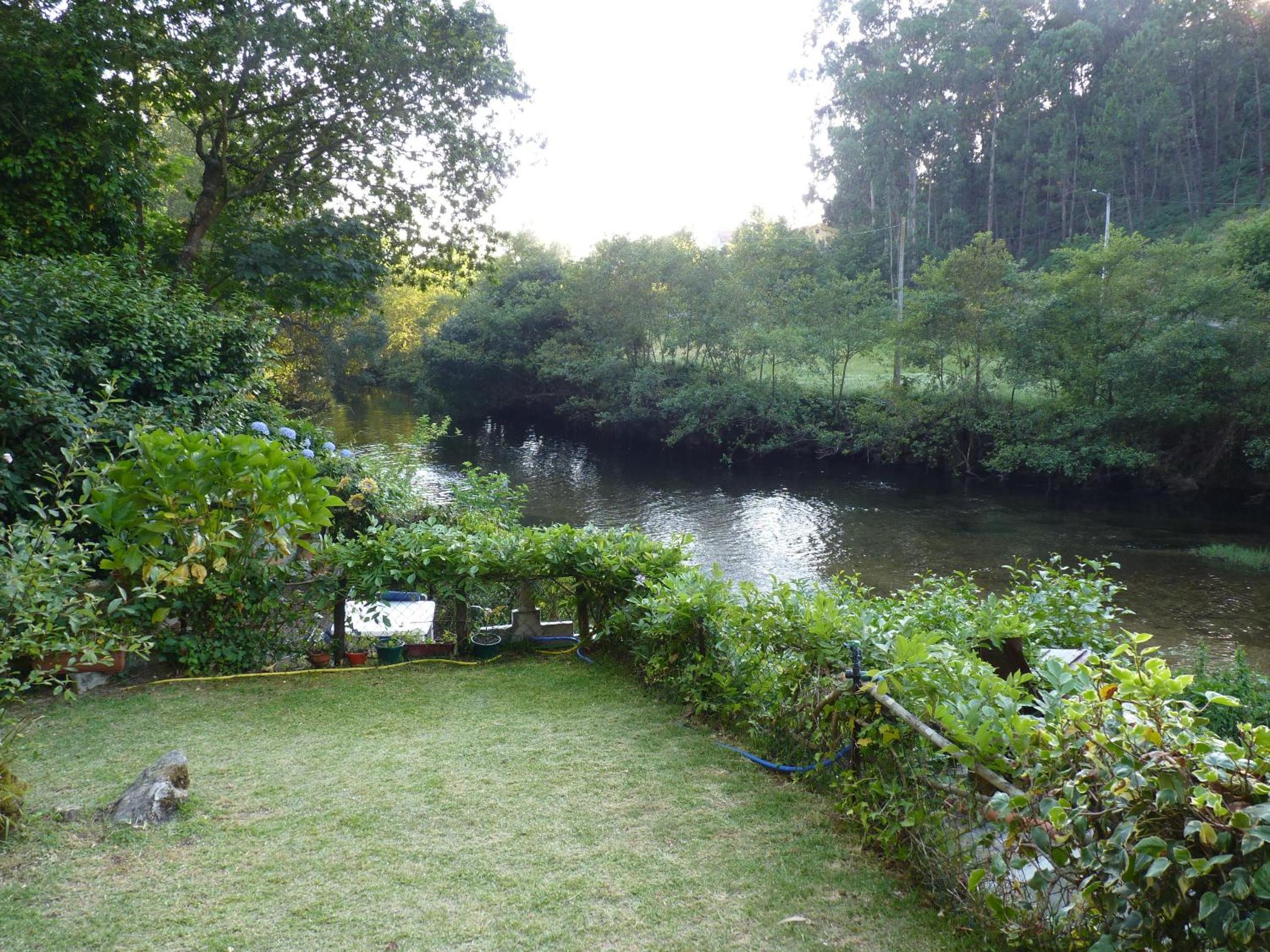 Photo 45
