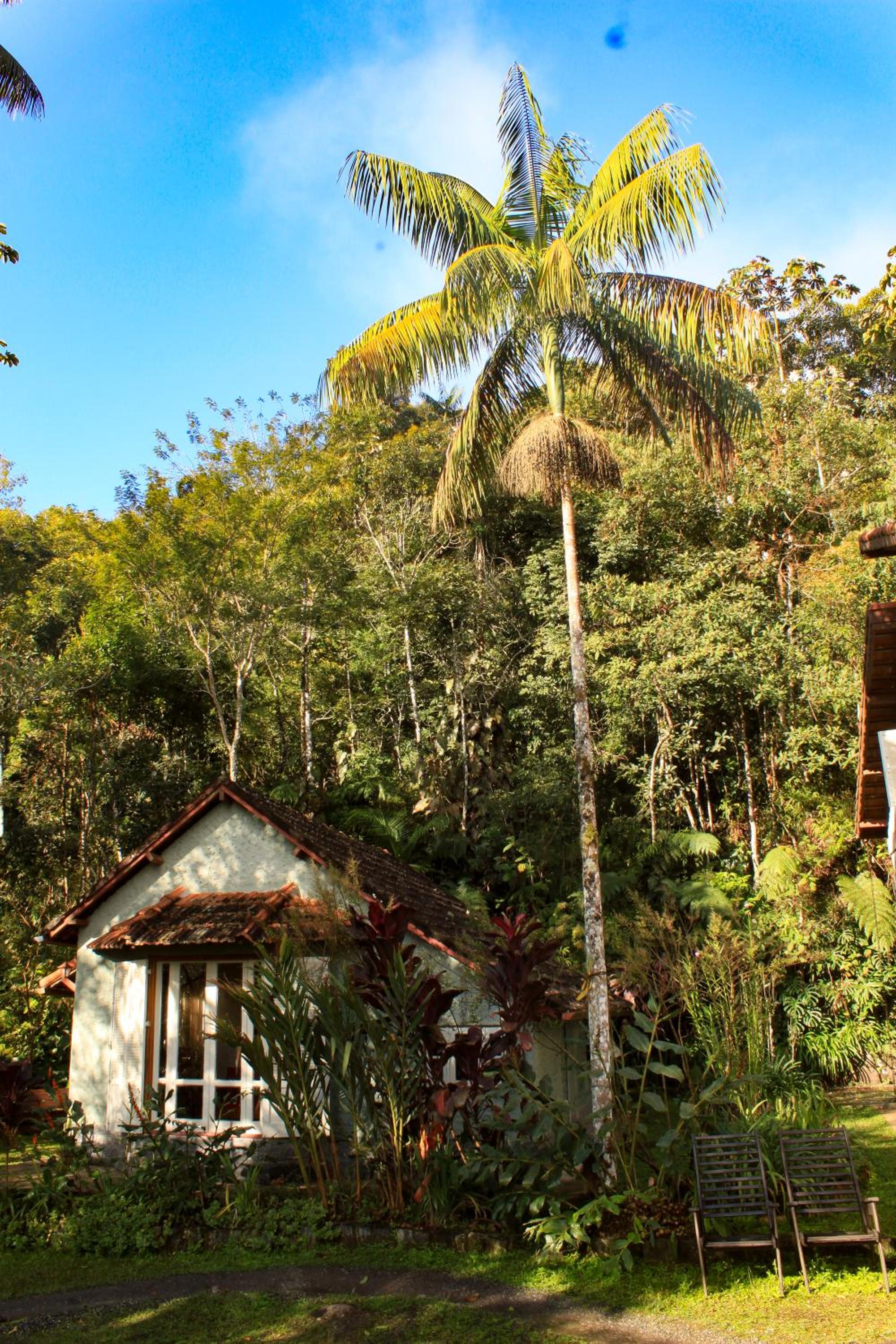 Chalé Gaia - Hospedagem Itatiaia