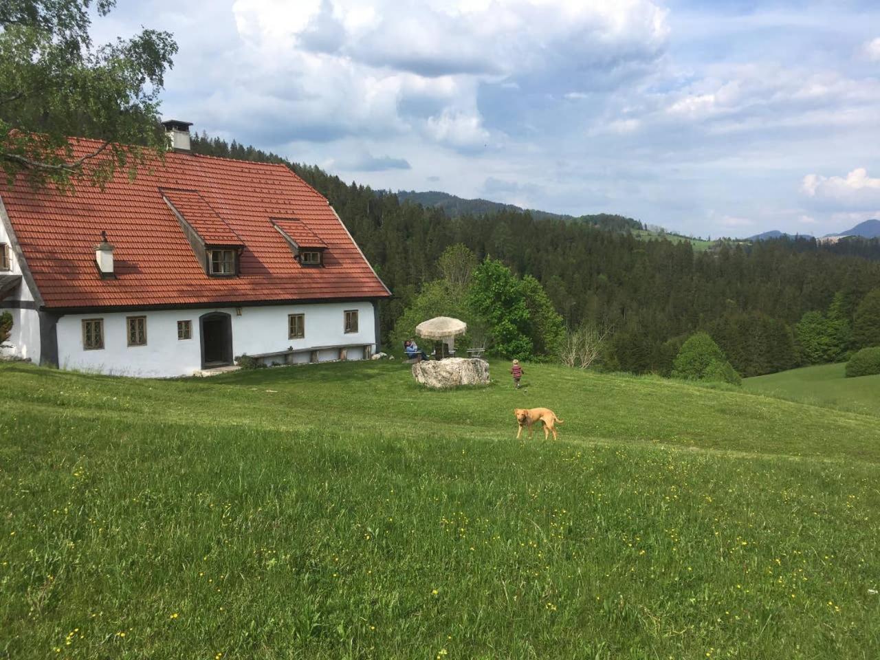 Chalet Hinterbreiteneben view 5