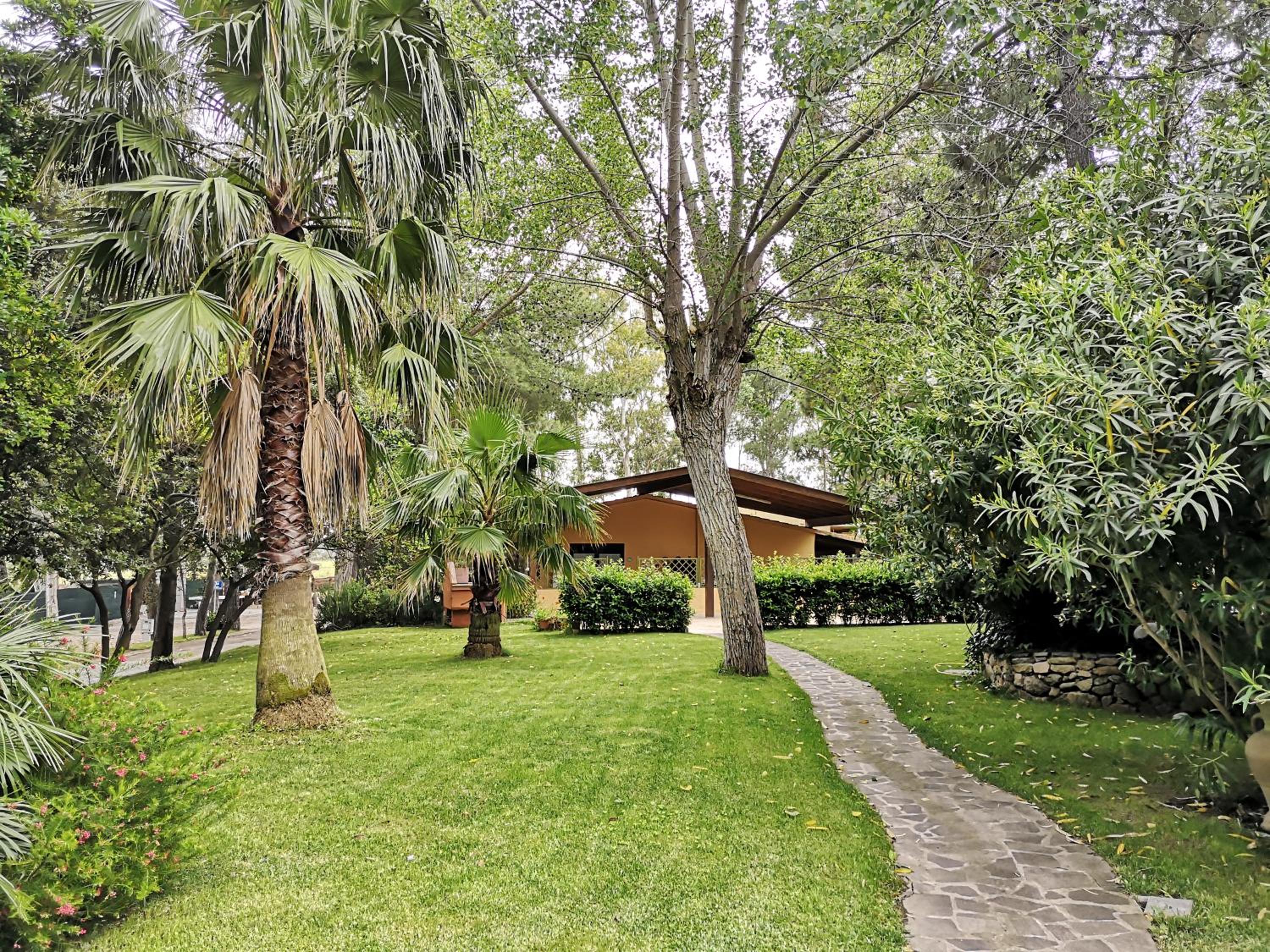 garden