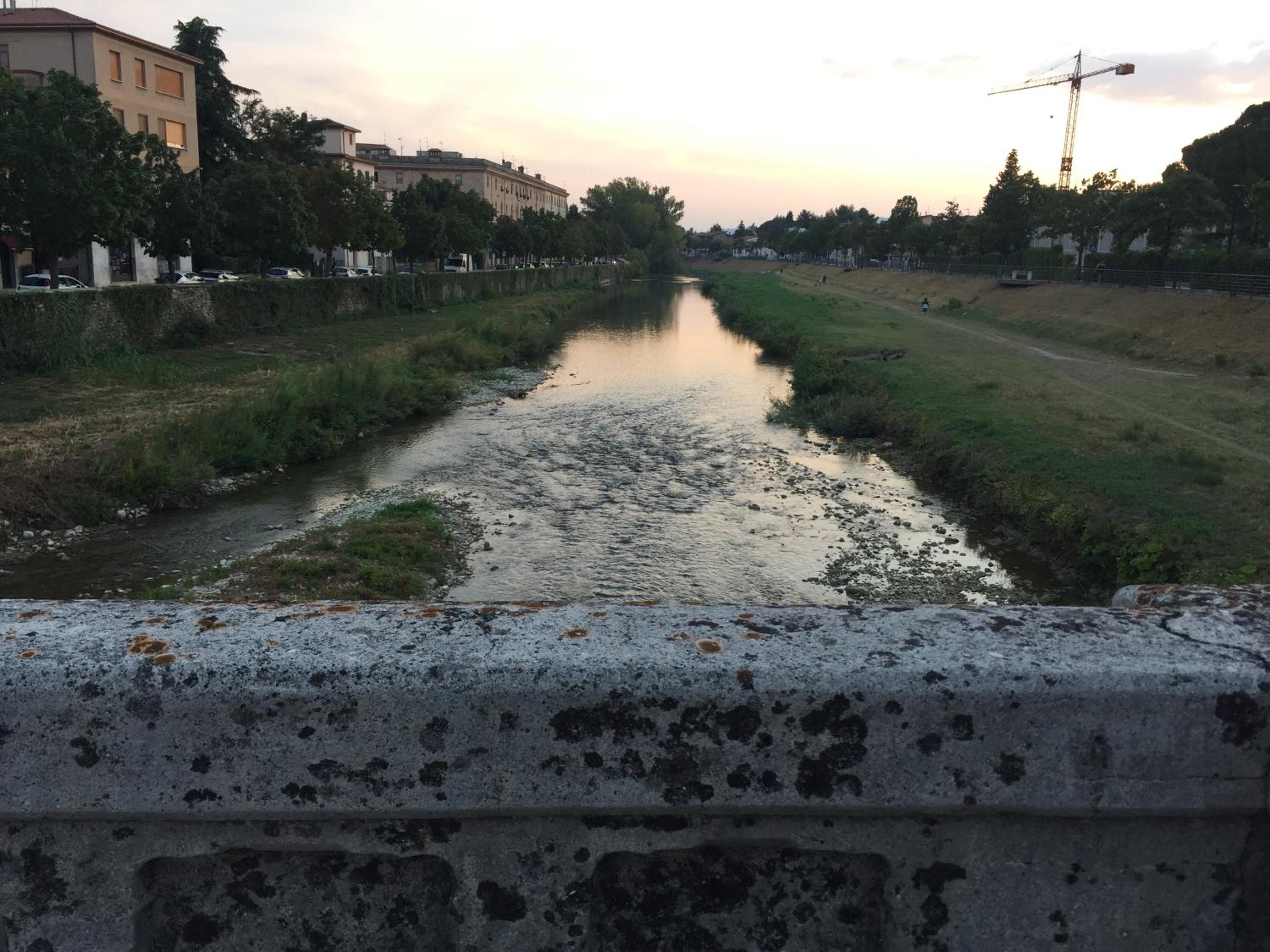 Photo 39