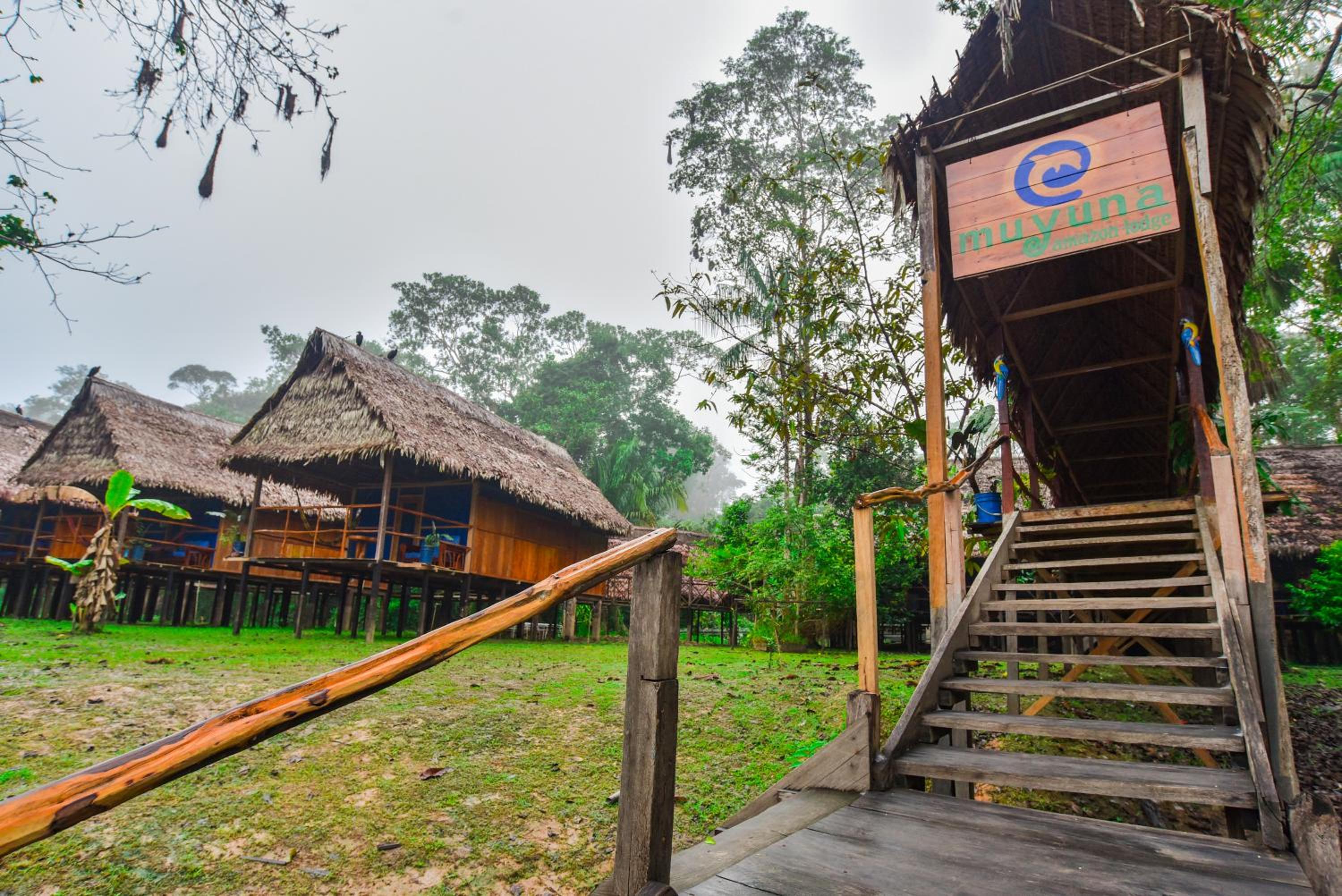 Amazon Muyuna Lodge - All Inclusive