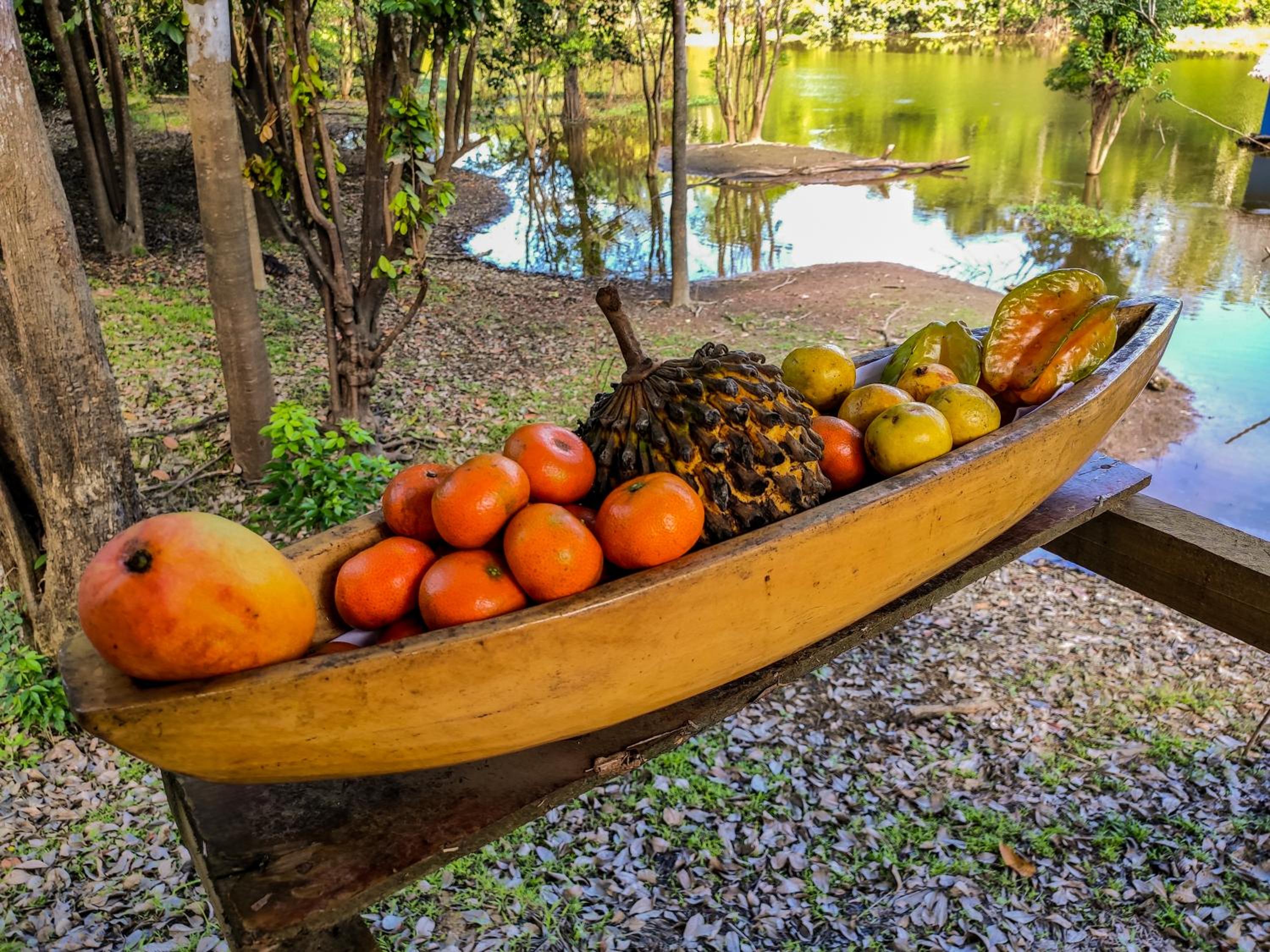 Amazon Muyuna Lodge - All Inclusive