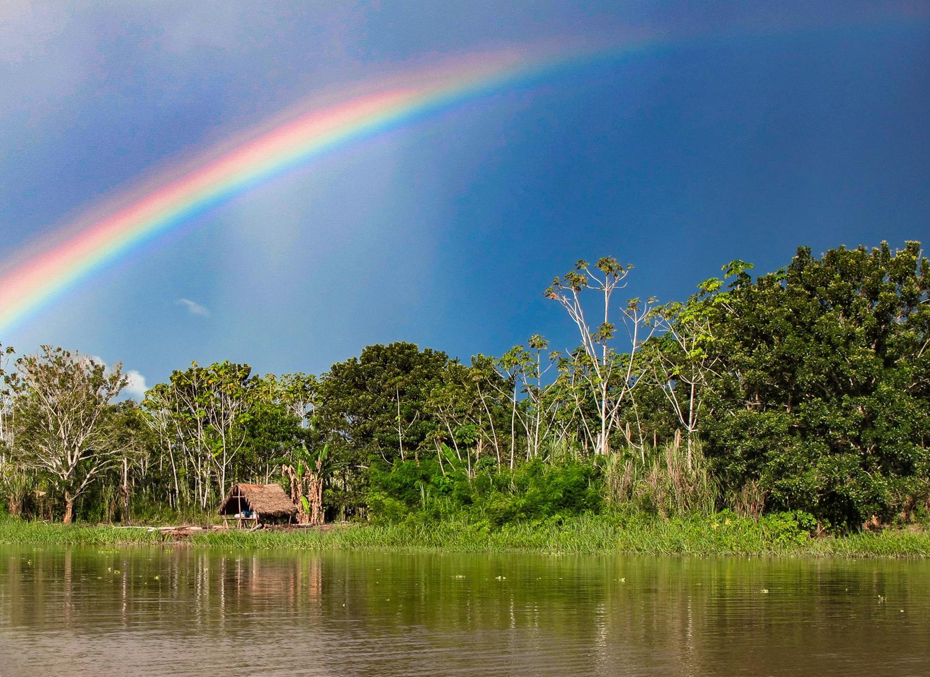 Amazon Muyuna Lodge - All Inclusive