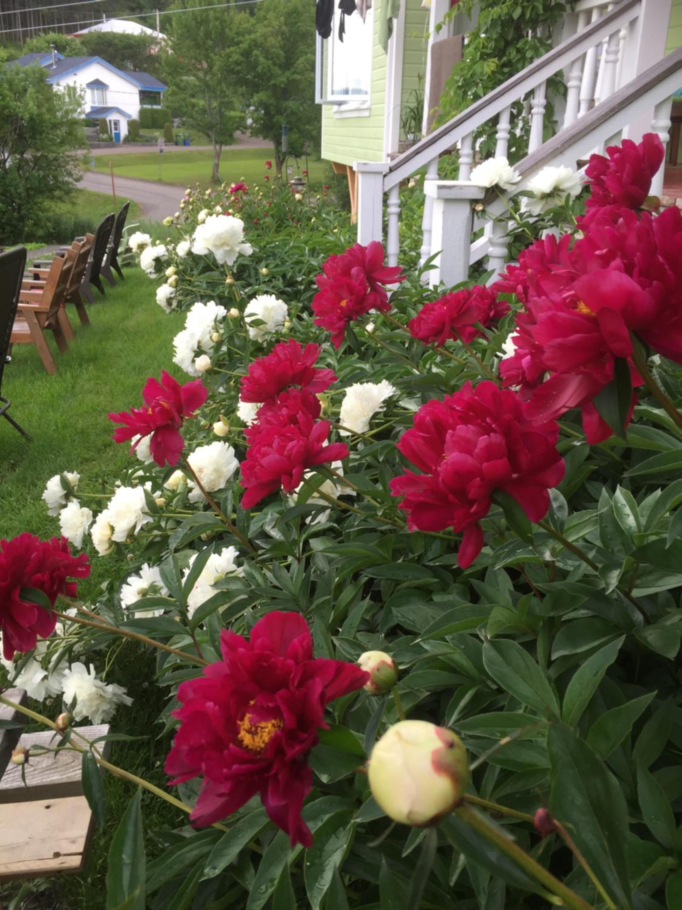 Ferme Jardin Potager
