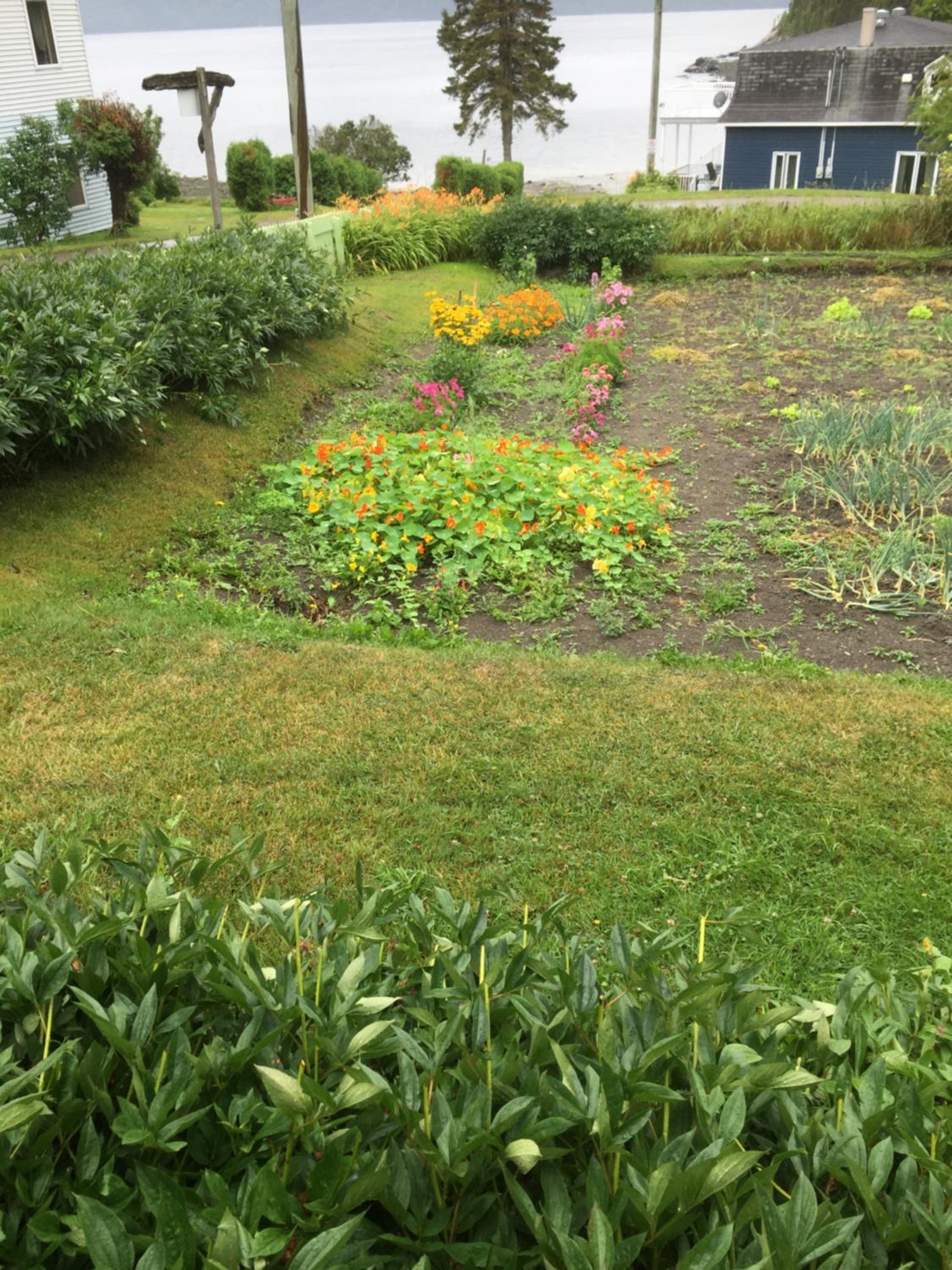 Ferme Jardin Potager